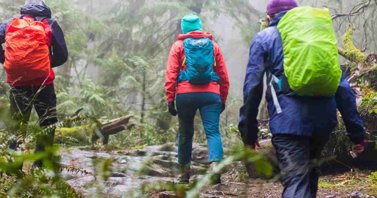 5 Best Rain Pants for Hiking of 2024 (Field-Tested)