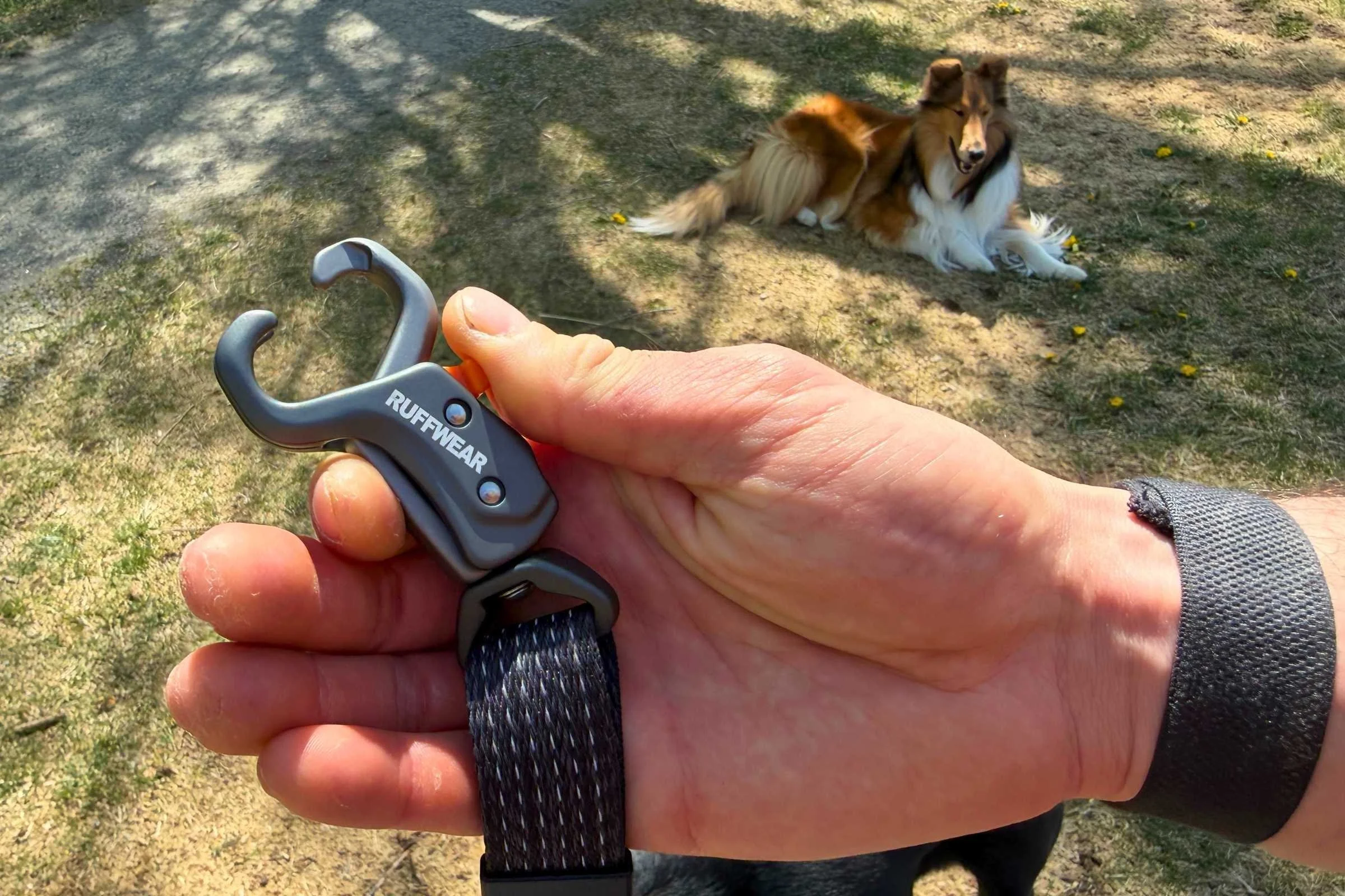 Ridgeline leash clip