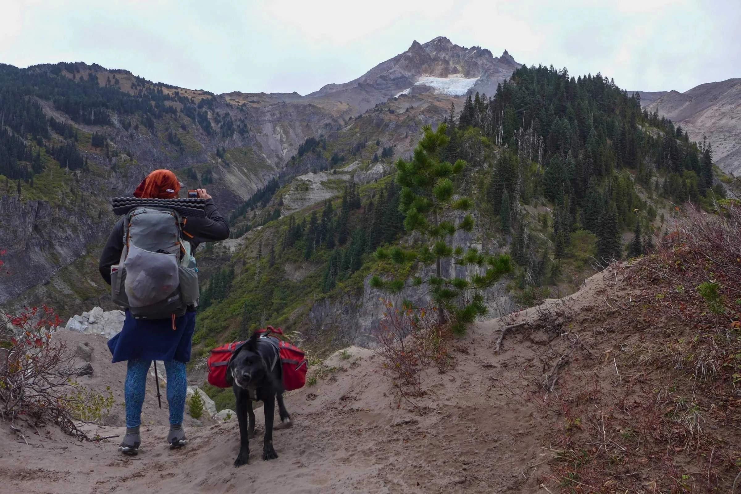 Timberline Where to Go Guide