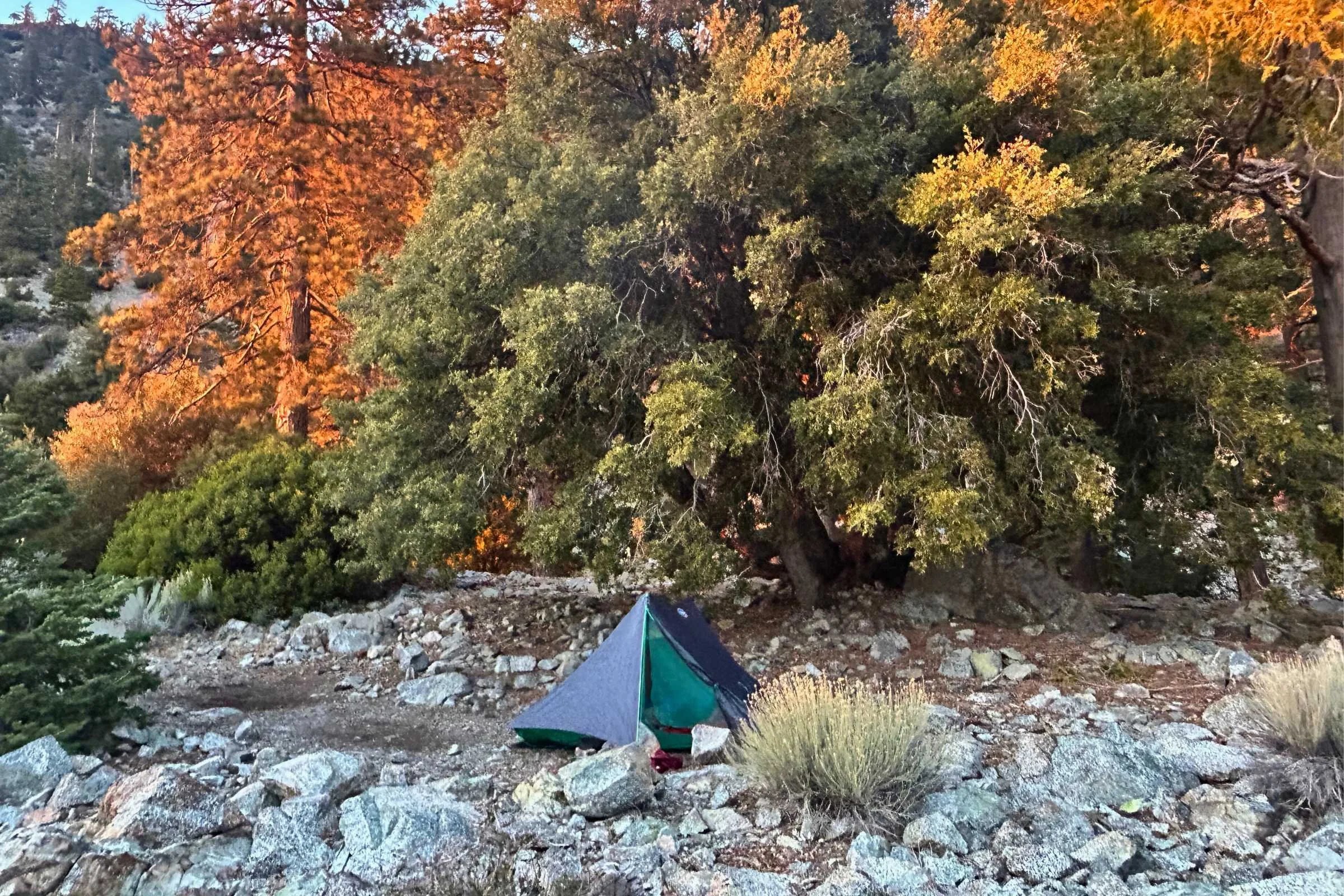 Big Agnes String Ridge VST ultralight tent pitched beneath colorful alpine trees