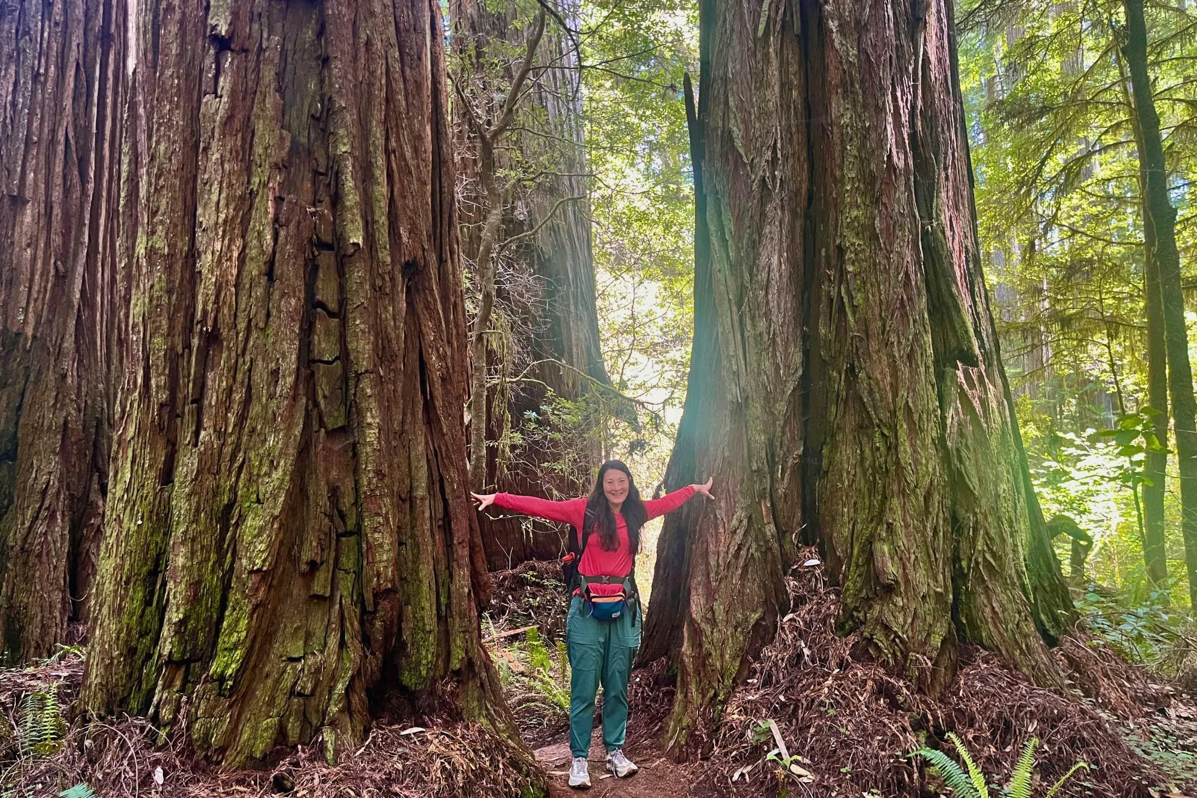 The Upland Sun Shirt worked well in more humid climates, like the coastal temperate rainforest in Redwoods National Park.