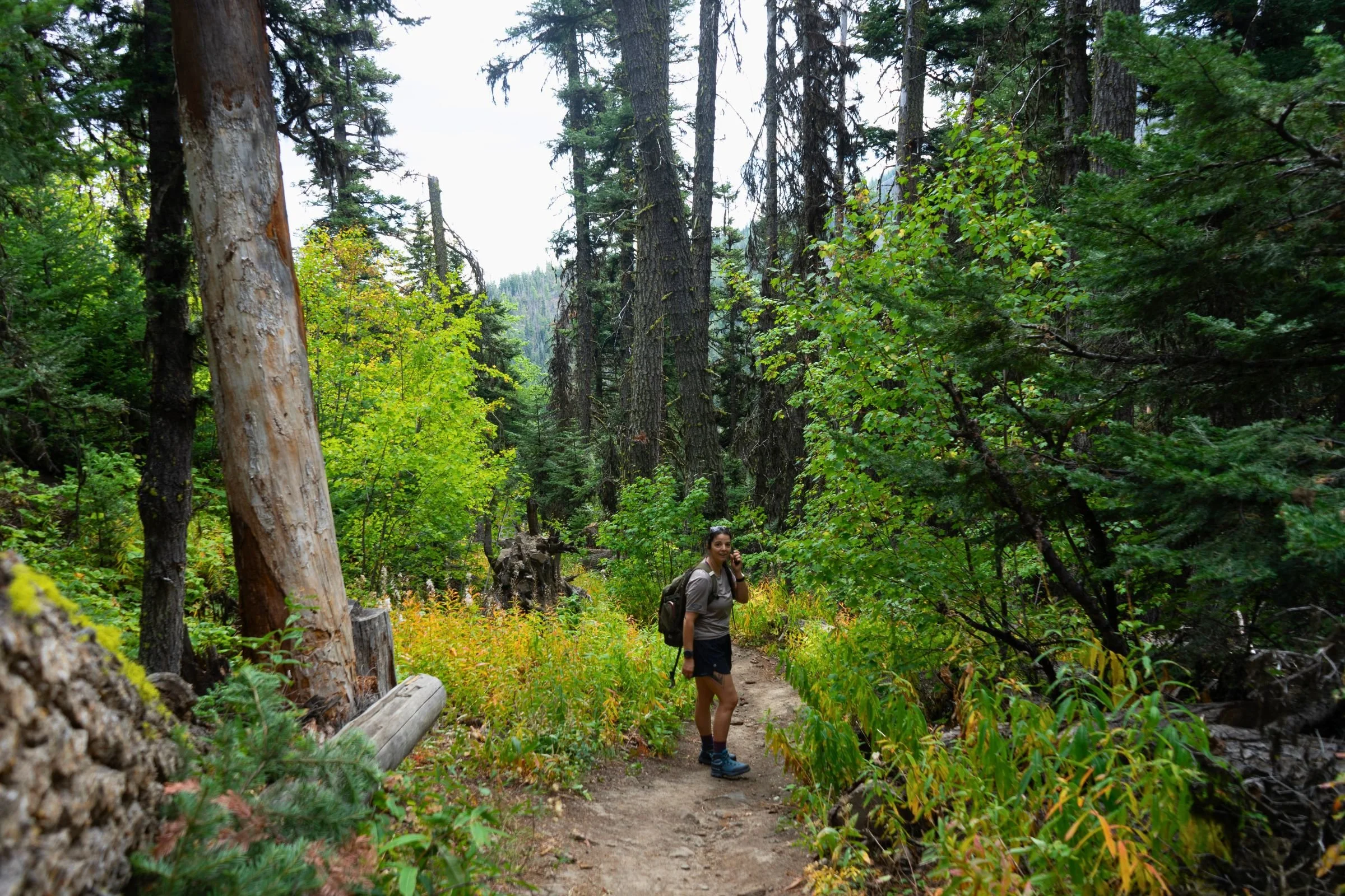Hiker testing the La Sportiva TX Hike Mid GTX boots on trail