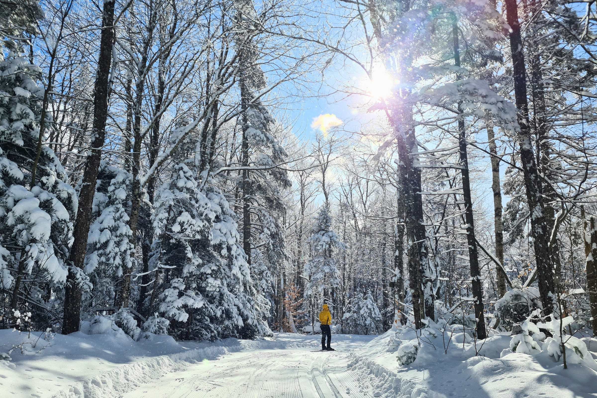XC skier wearing winter socks on a groomed forest trail