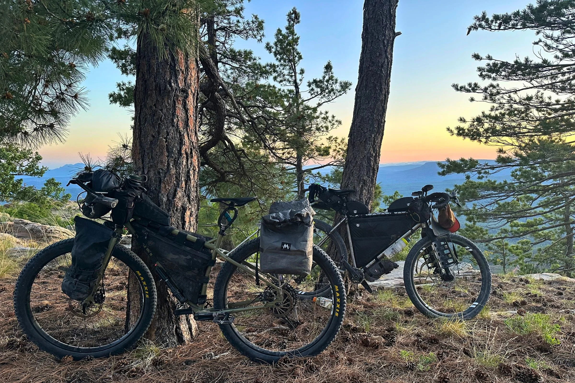 Two bikepacking bikes propped up against pine trees loaded down for a bikepacking trip