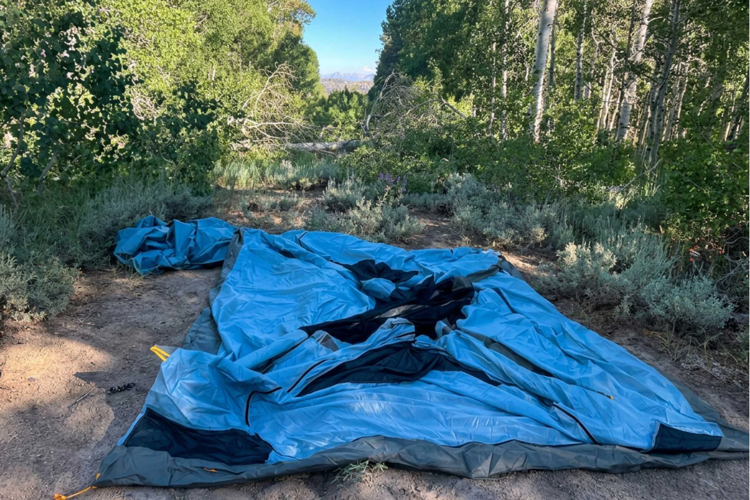 REI Co-op Westward 6 Tent laid out flat