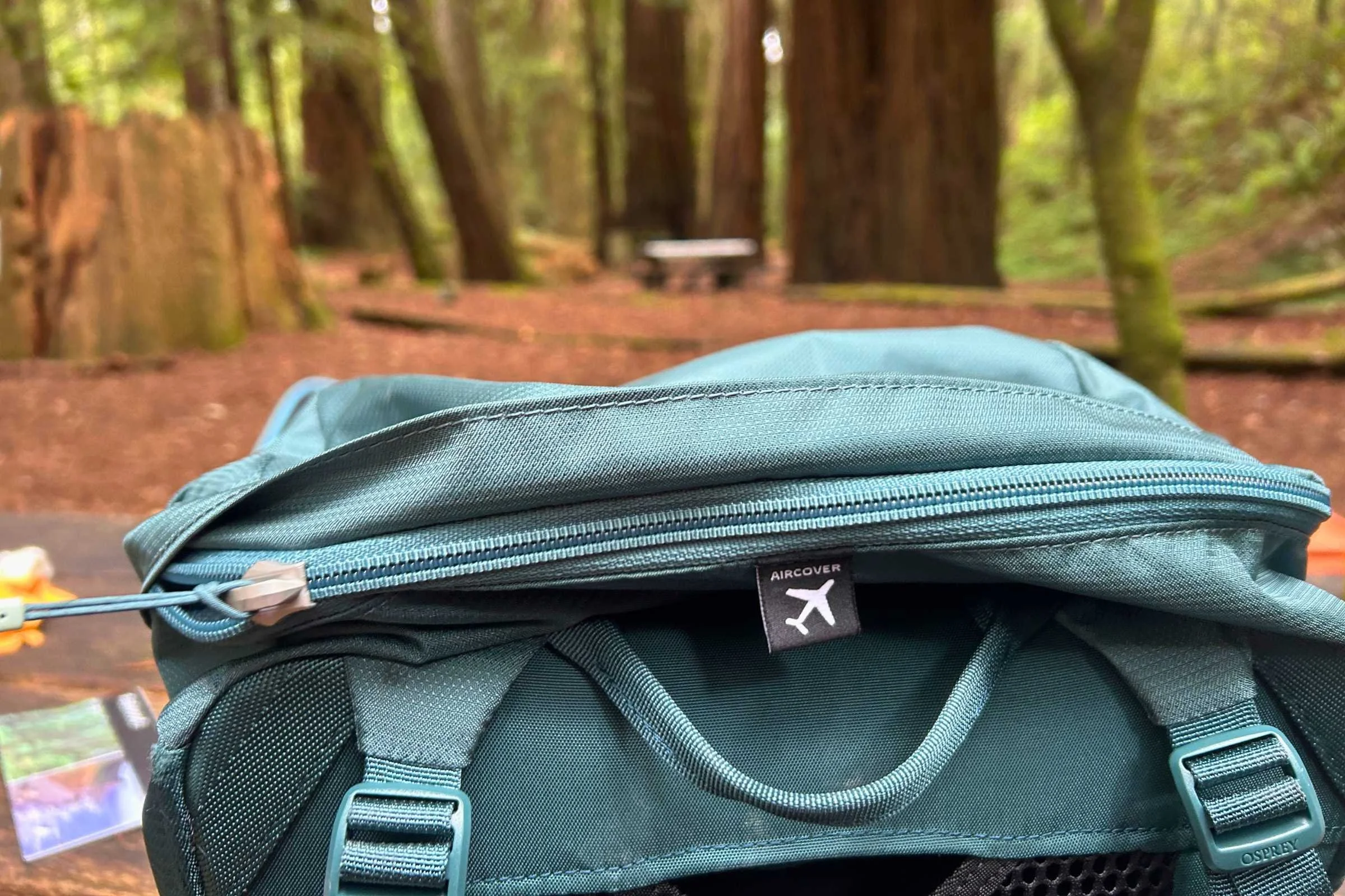 The Osprey Fairview Trek 55 Travel Pack sitting on a picnic table in the woods.