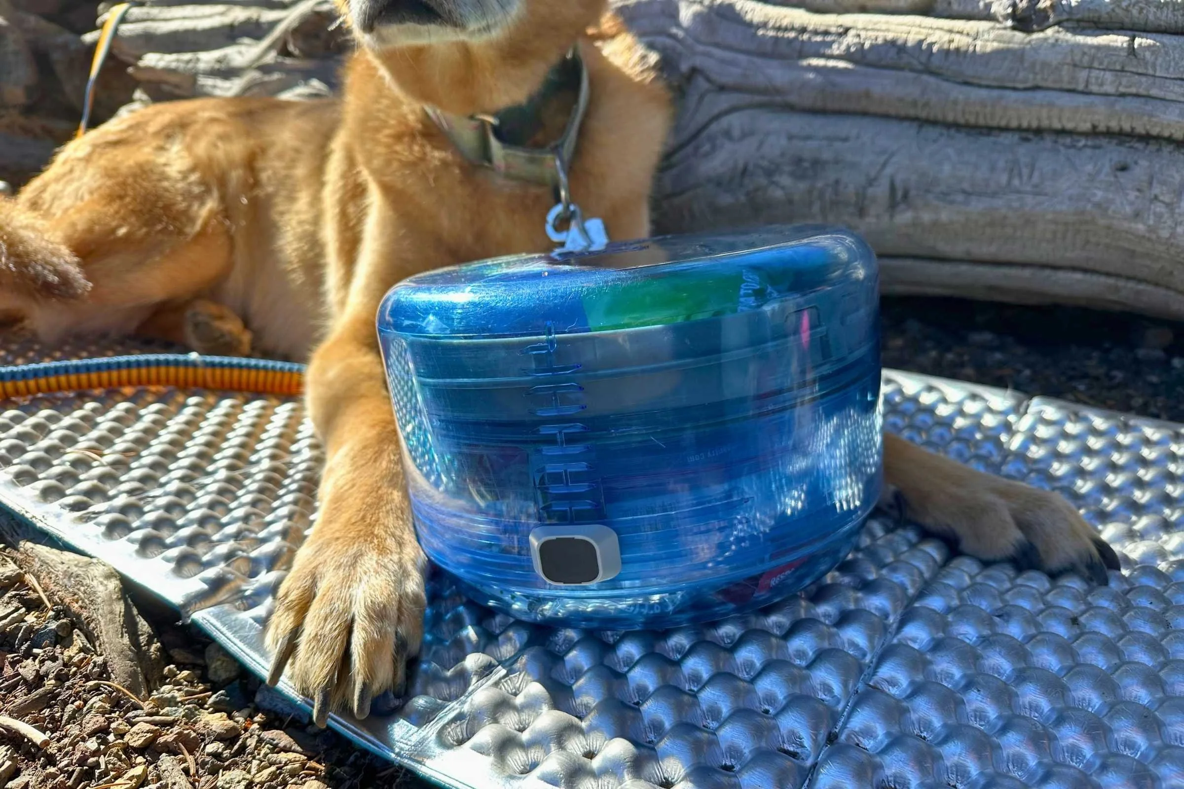 The BV ONE in a collapsed size.  Photo courtesy Sara Kruglinski.