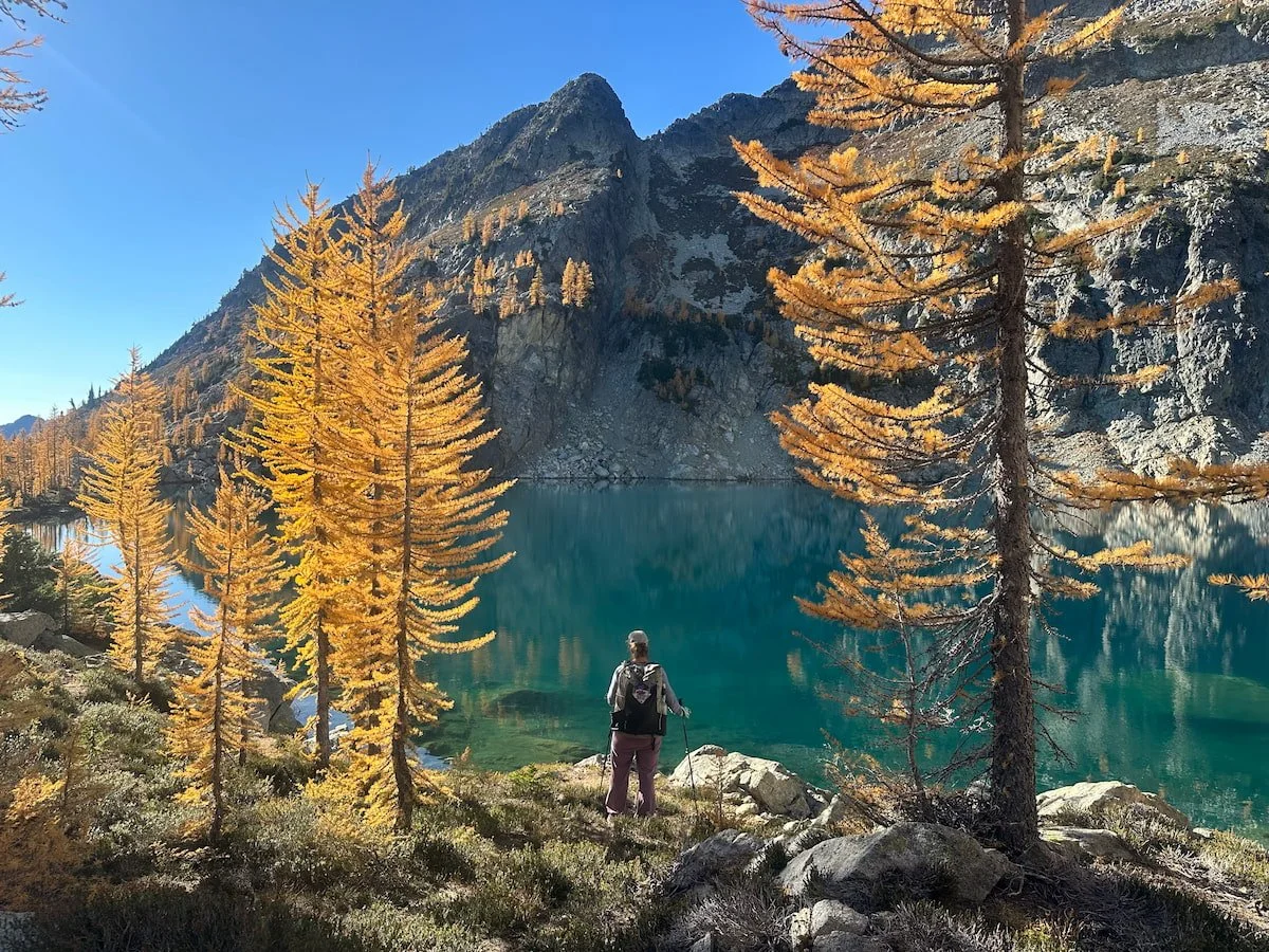 A backpacker standing next to an alpine lake with larch trees turning yellow in the fall