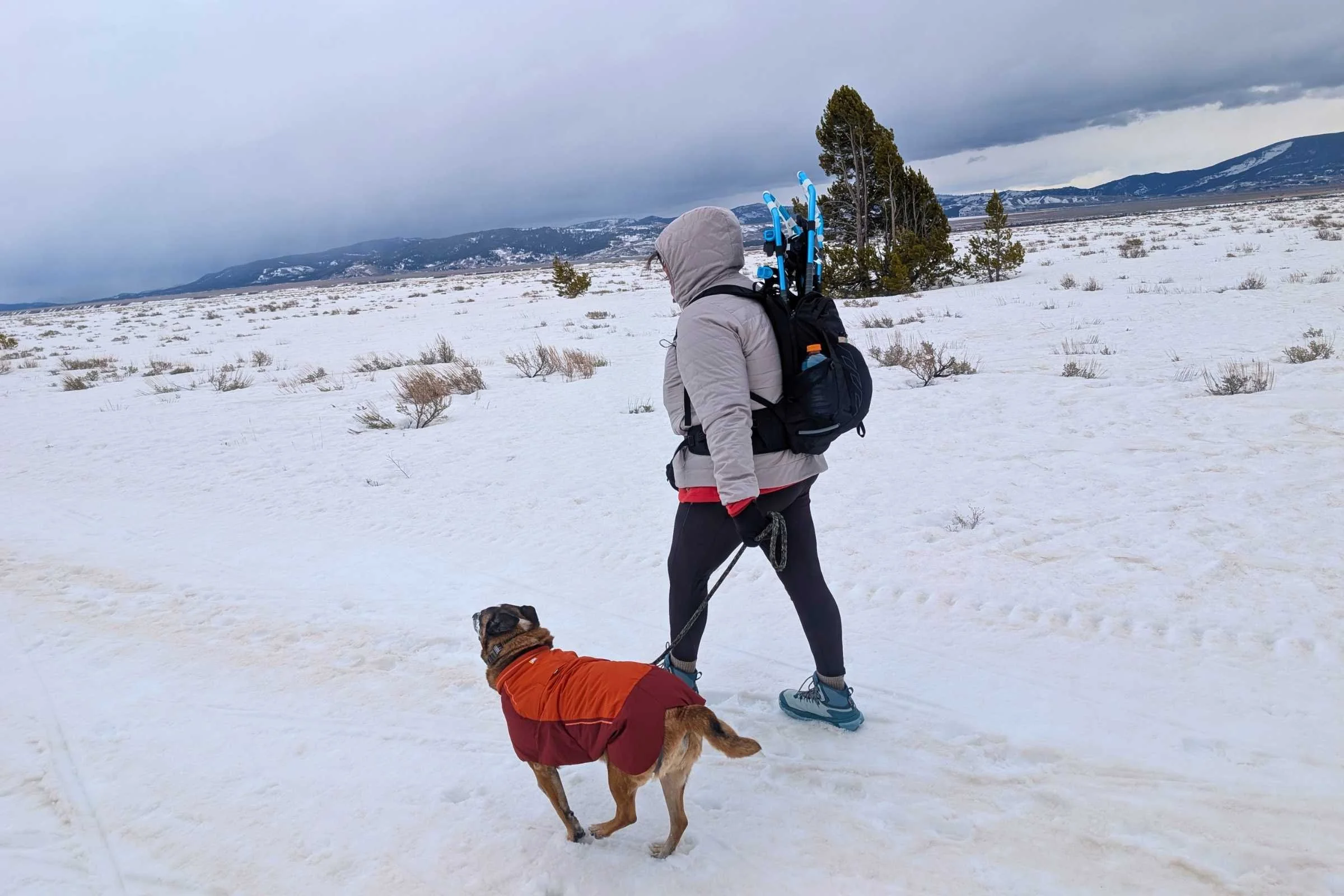 Wearing the women’s REI Co-op Microtrek Hoodie.