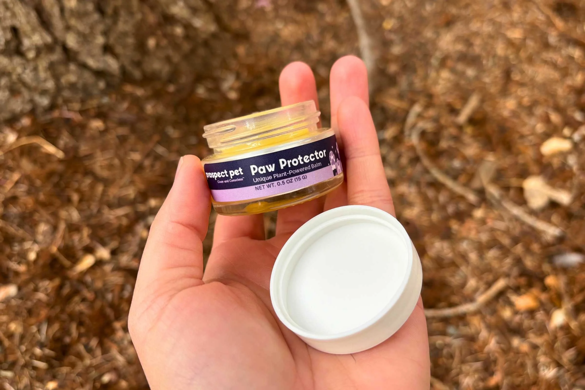 Hand holding jar of Prospect Pet Paw Balm
