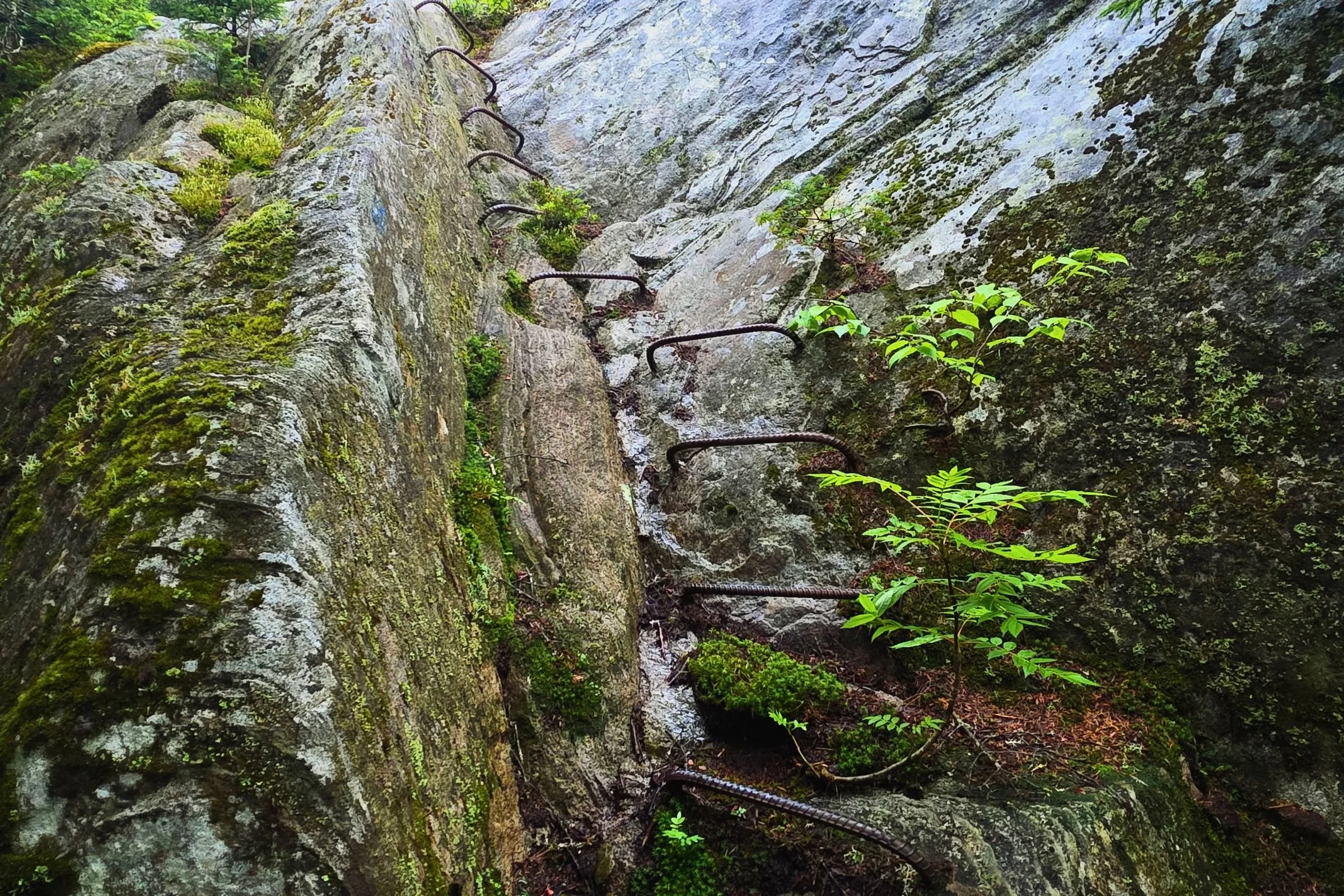 The rebar ladder on the descent of East Baldpate. Photo by Aubri Drake.