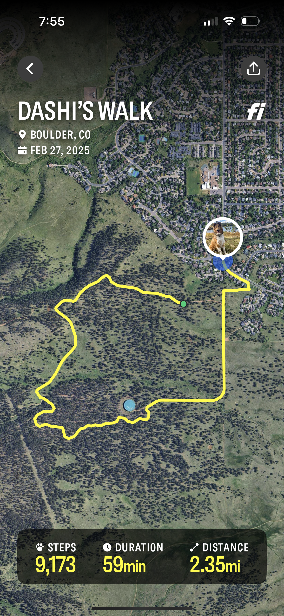 The Fi app is detailed in its walk tracking and tracks automatically, but I regularly noticed some missing parts of our hike on the map afterwards.