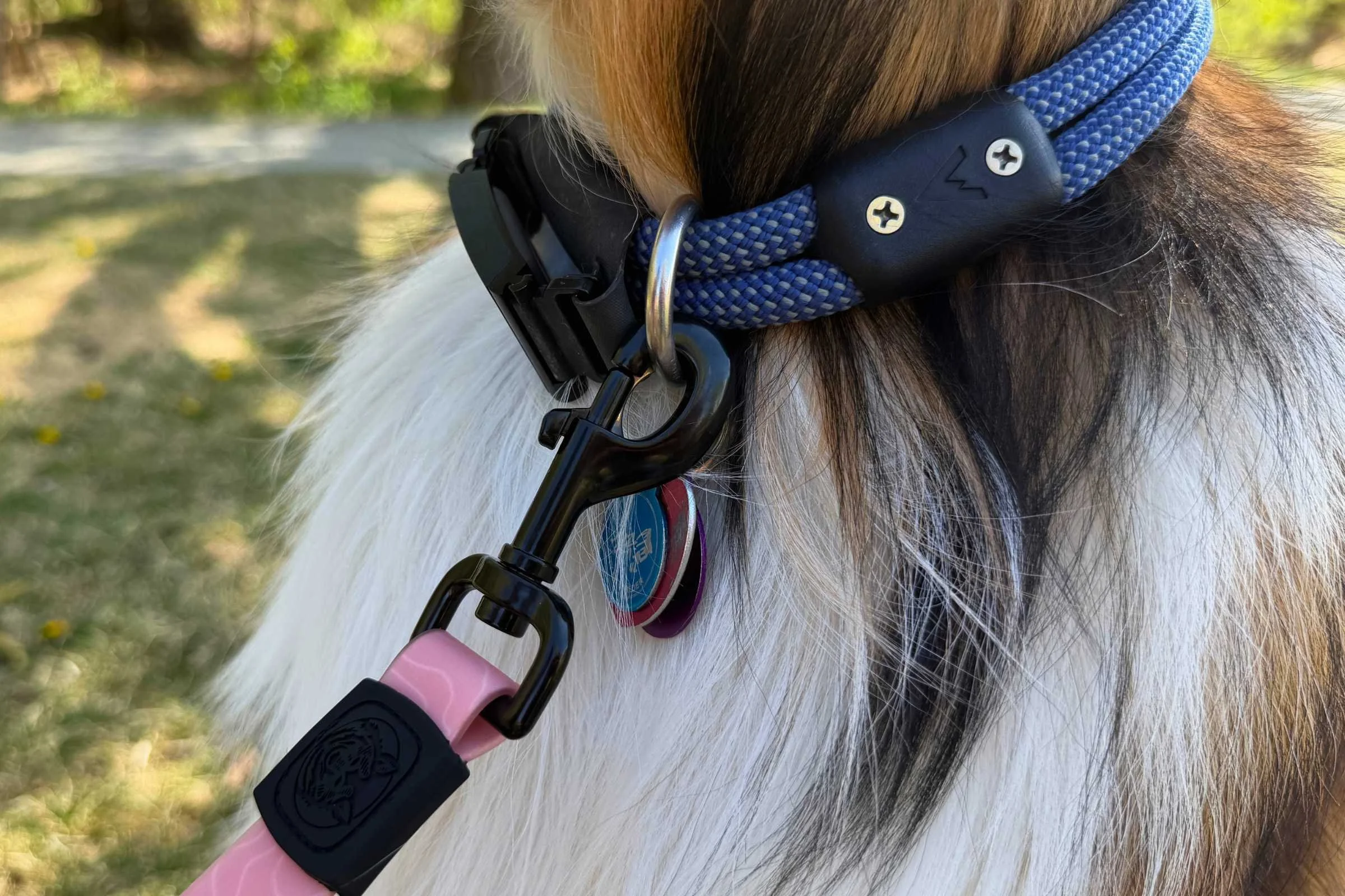 Dog leash attached to a black leash clip and waterproof leash