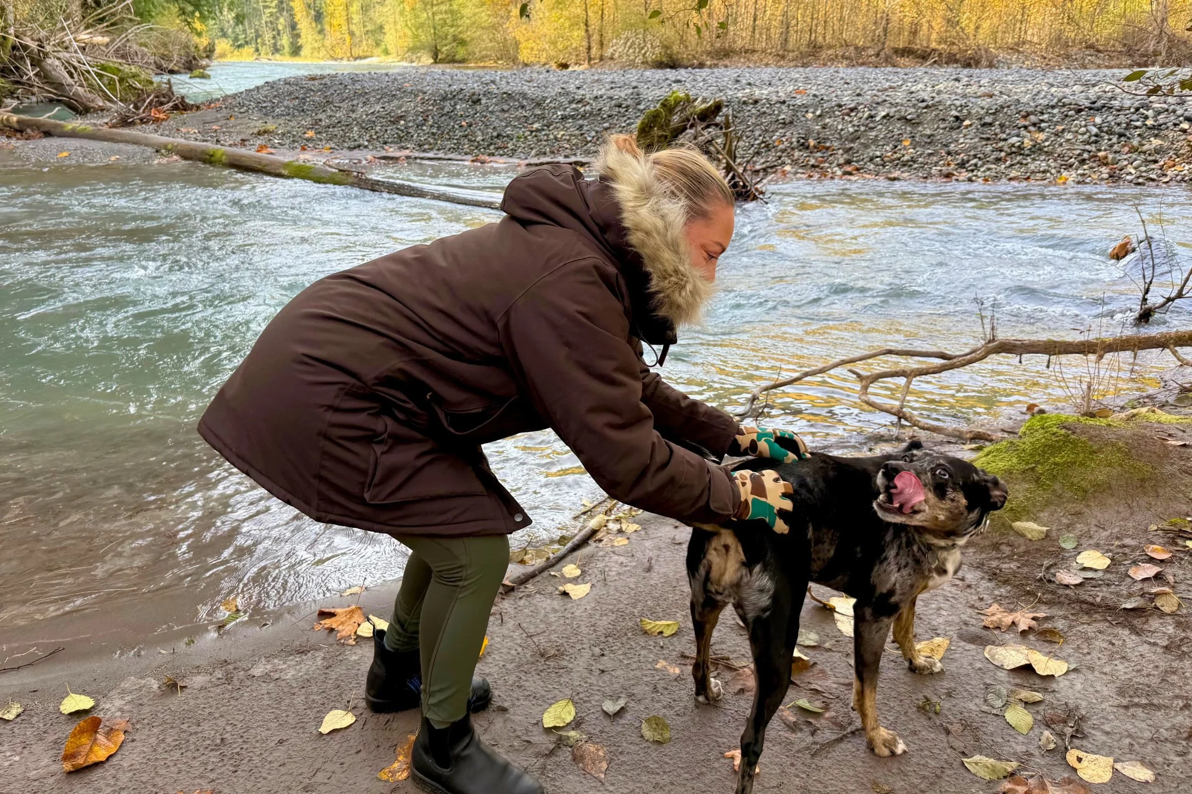 Taking the Nuuk out for an early morning Fall dog walk.