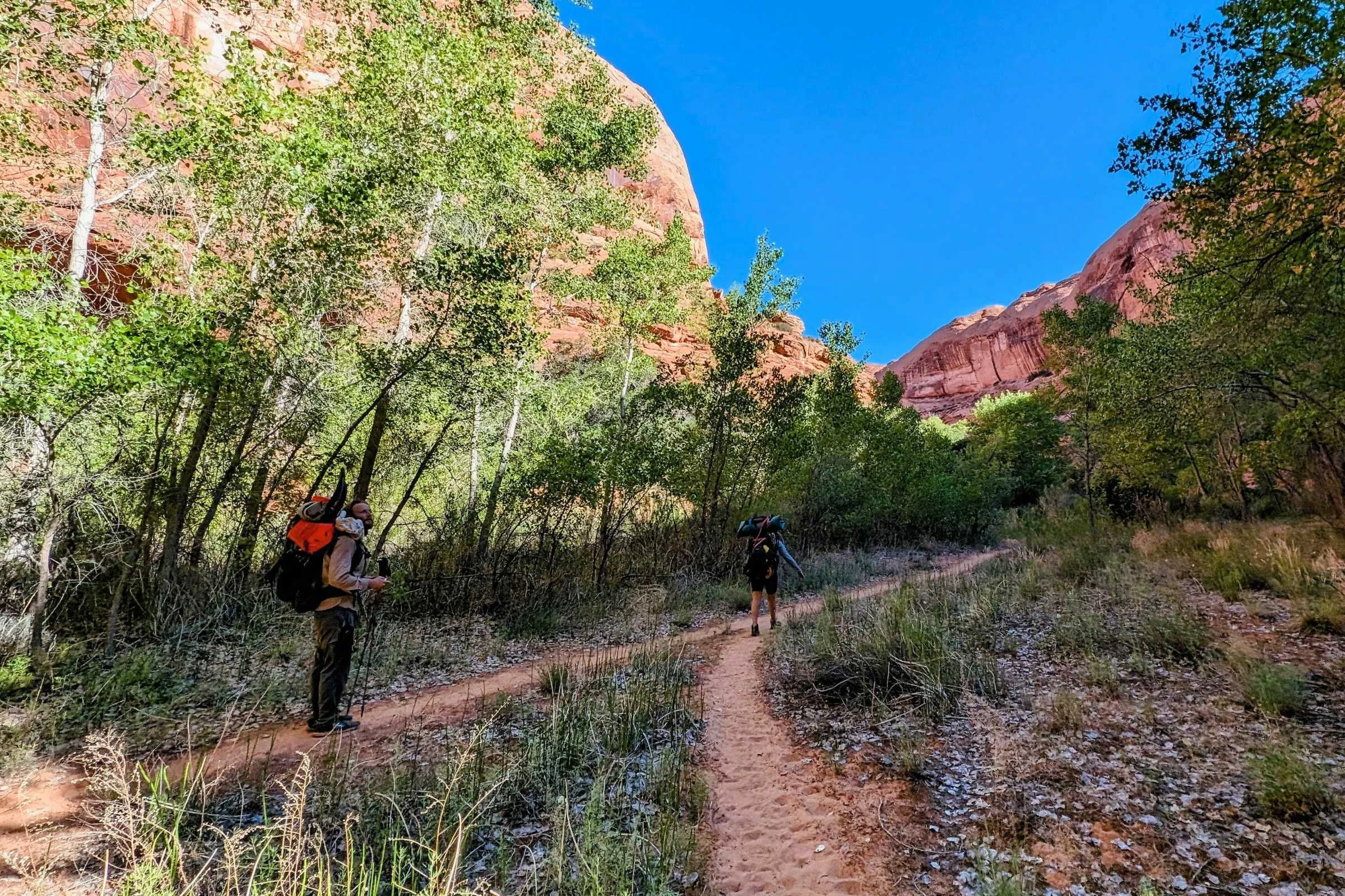 Two backpackers hiking on a sandy trail