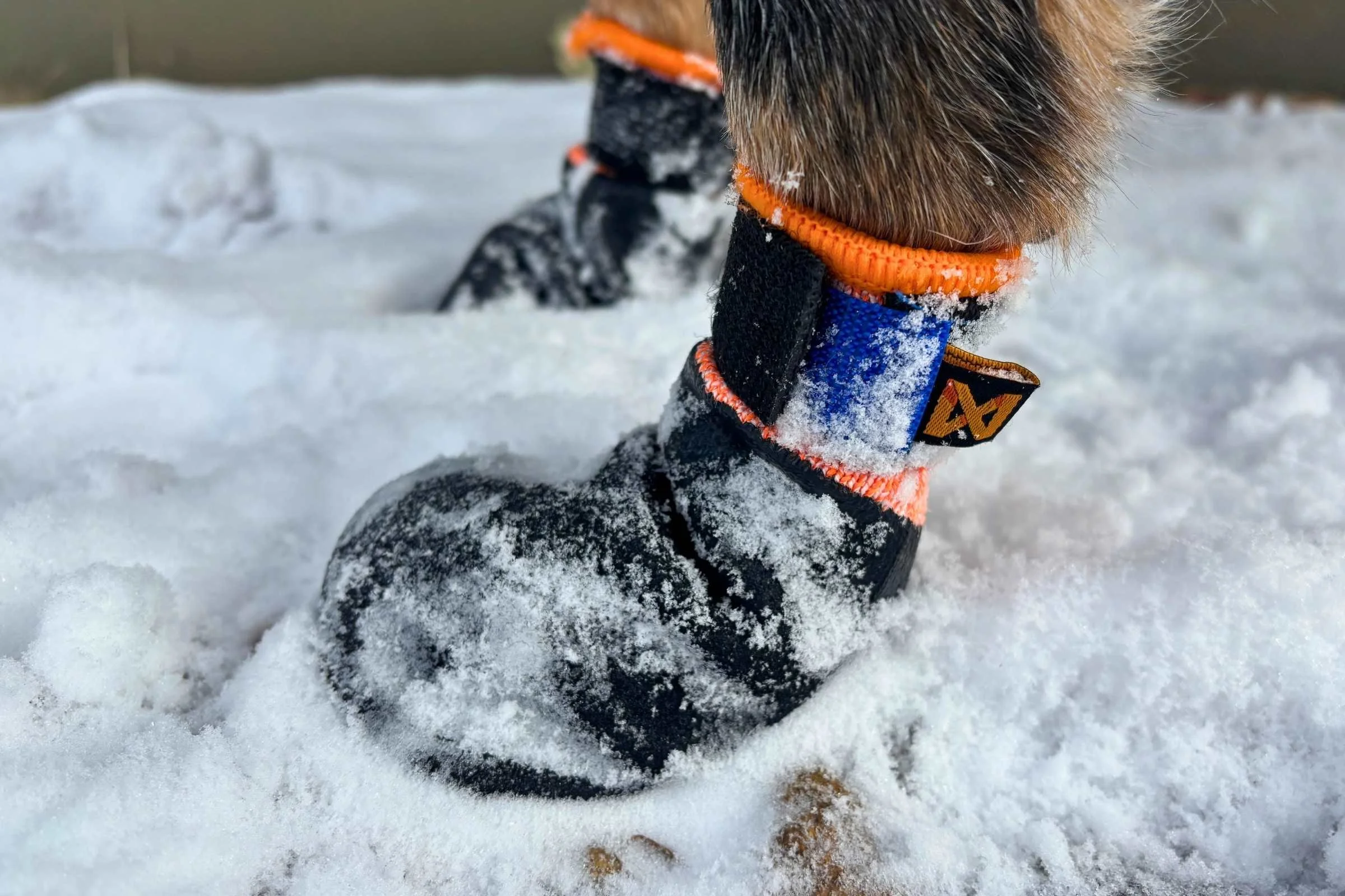 Non-stop Dogwear Protector Bootie