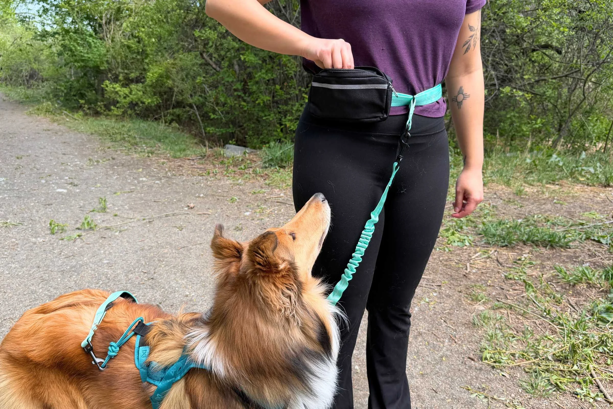 Dog leash waist belt with pouch storage