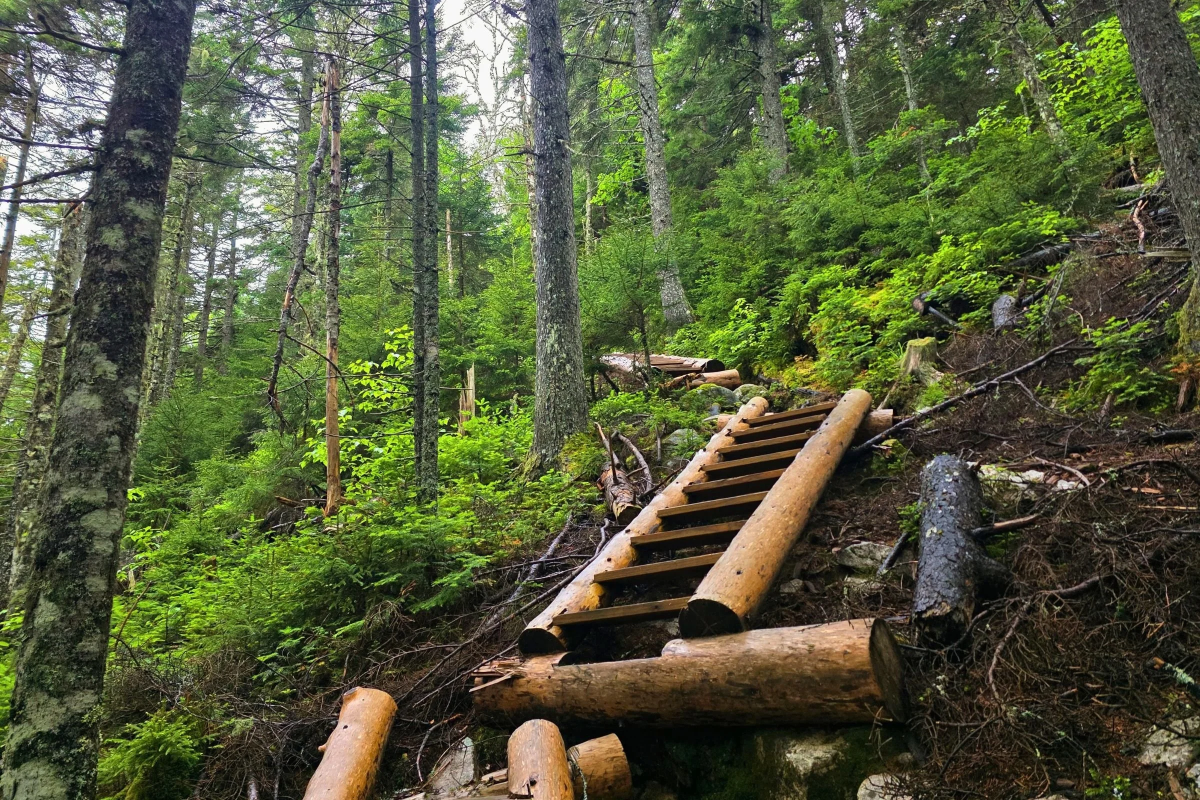 Staircases on the climb up to Stowe Mountain. Photo by Aubri Drake.
