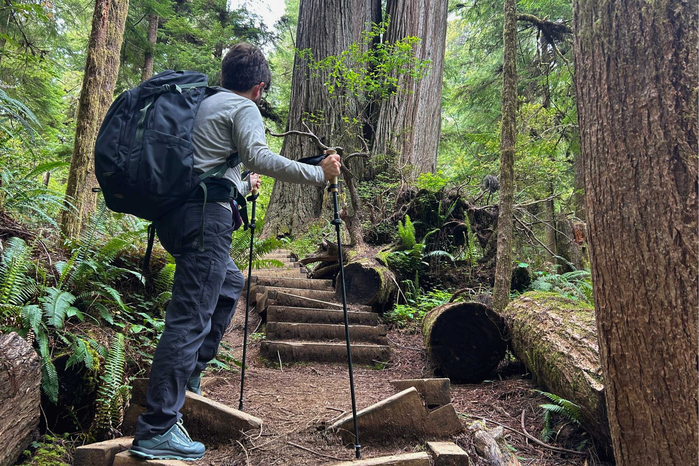 A tester using the Gossamer Gear FT3 poles on crumbling trail in Redwoods National Park.