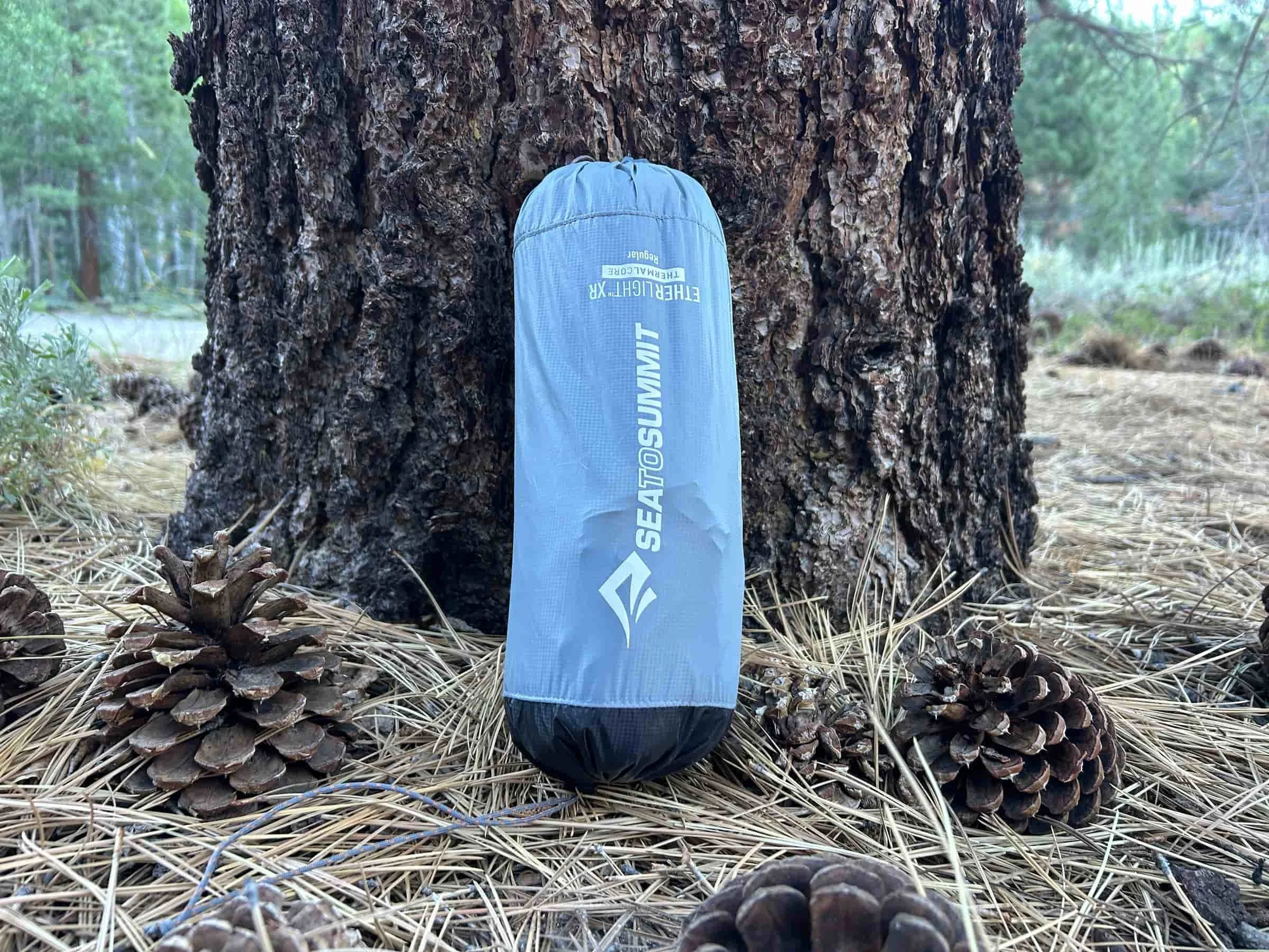 Sea to summit sleeping pad stuffed in sack in front of tree