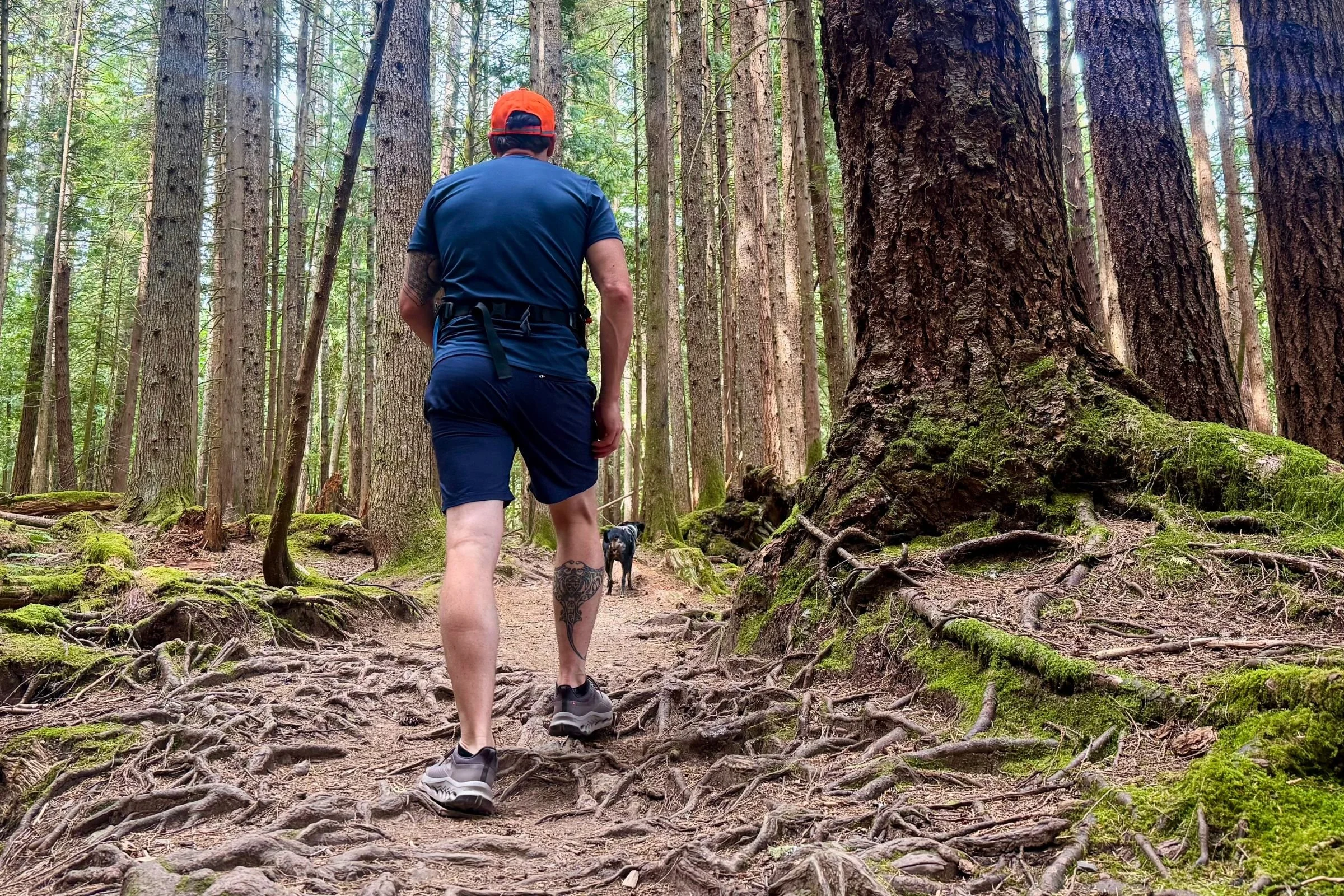 Testing the toe protection of the Cloudhorizon 2 on an uphill rooty section.