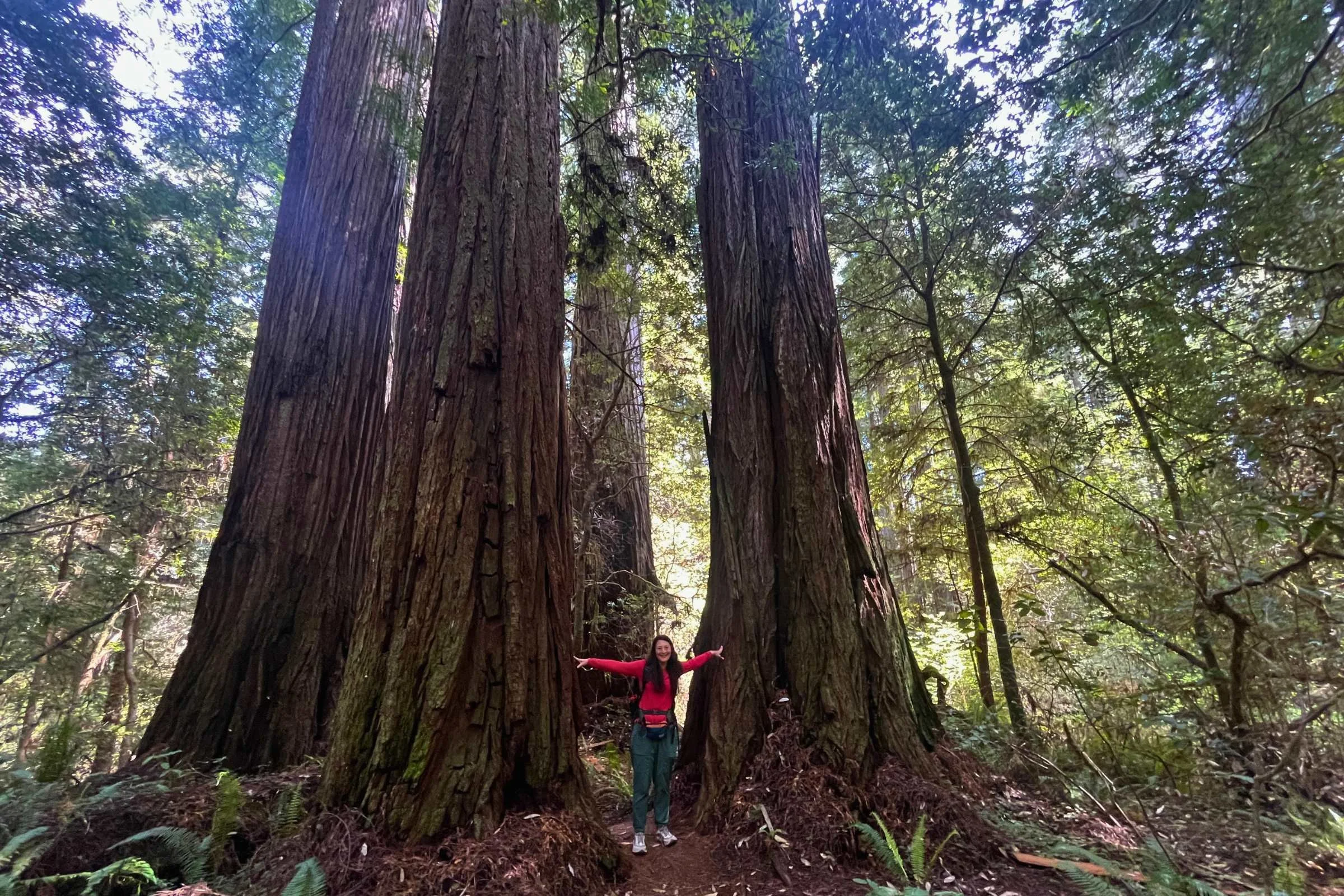 Hiking in Redwoods National Park in the Title Nine sun shirt.