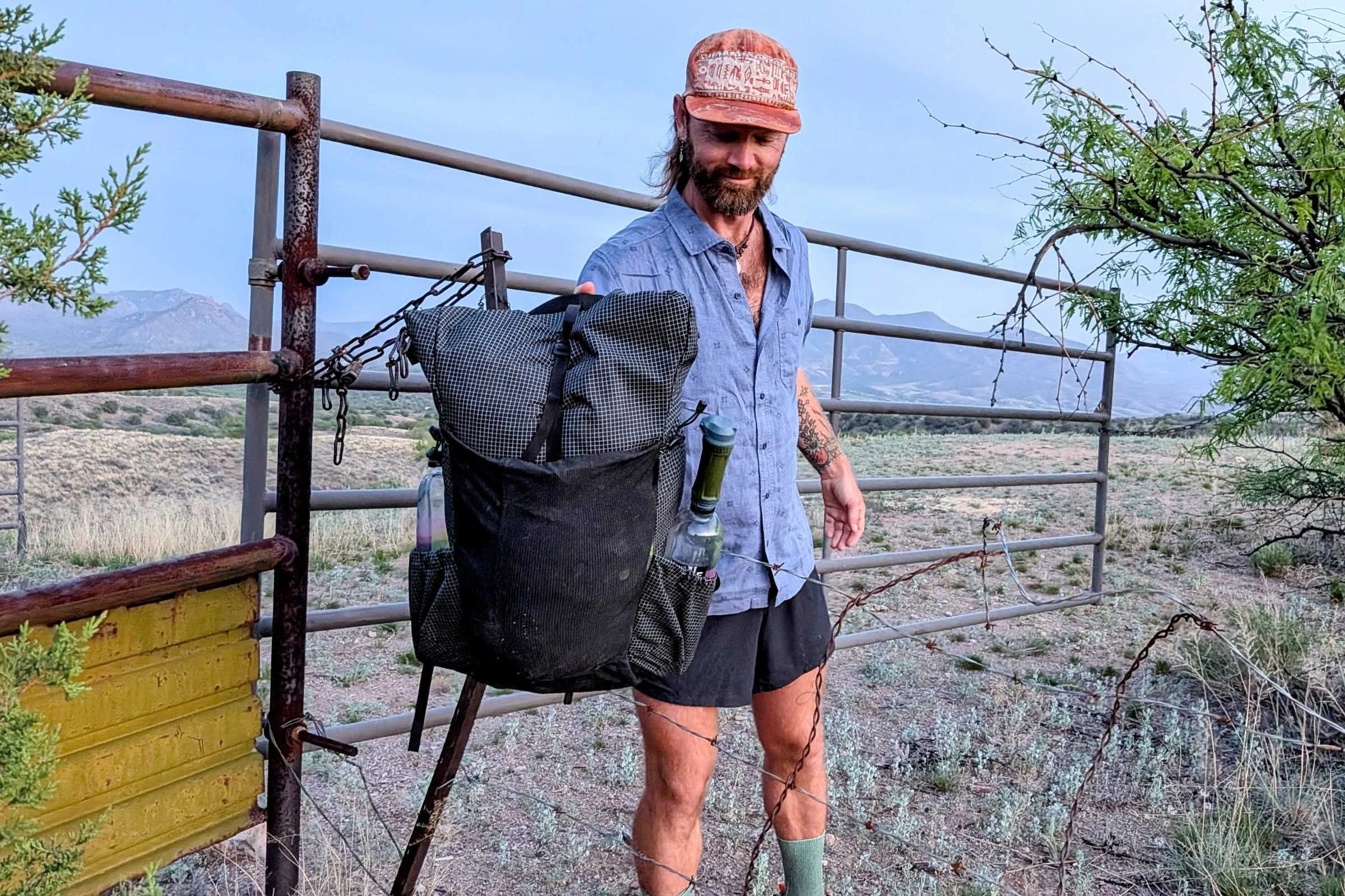 This pack definitely wasn't trespassing here.