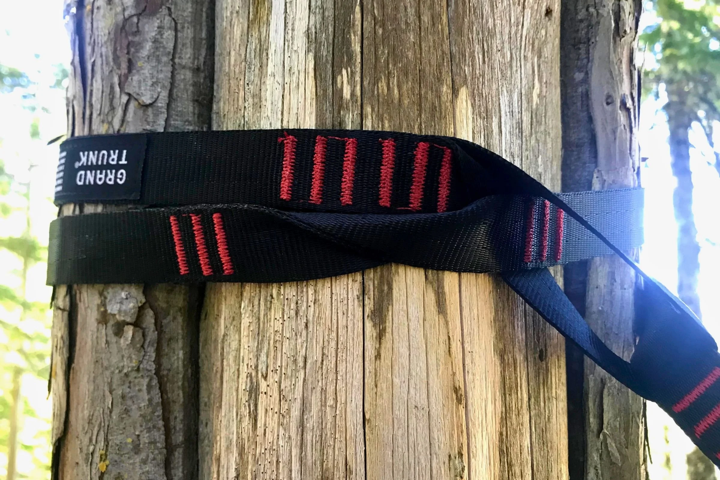 Close-up of the Grand Trunk Daisy Chain Style Straps around a tree. Photo courtesy Tiffany Searsdodd.