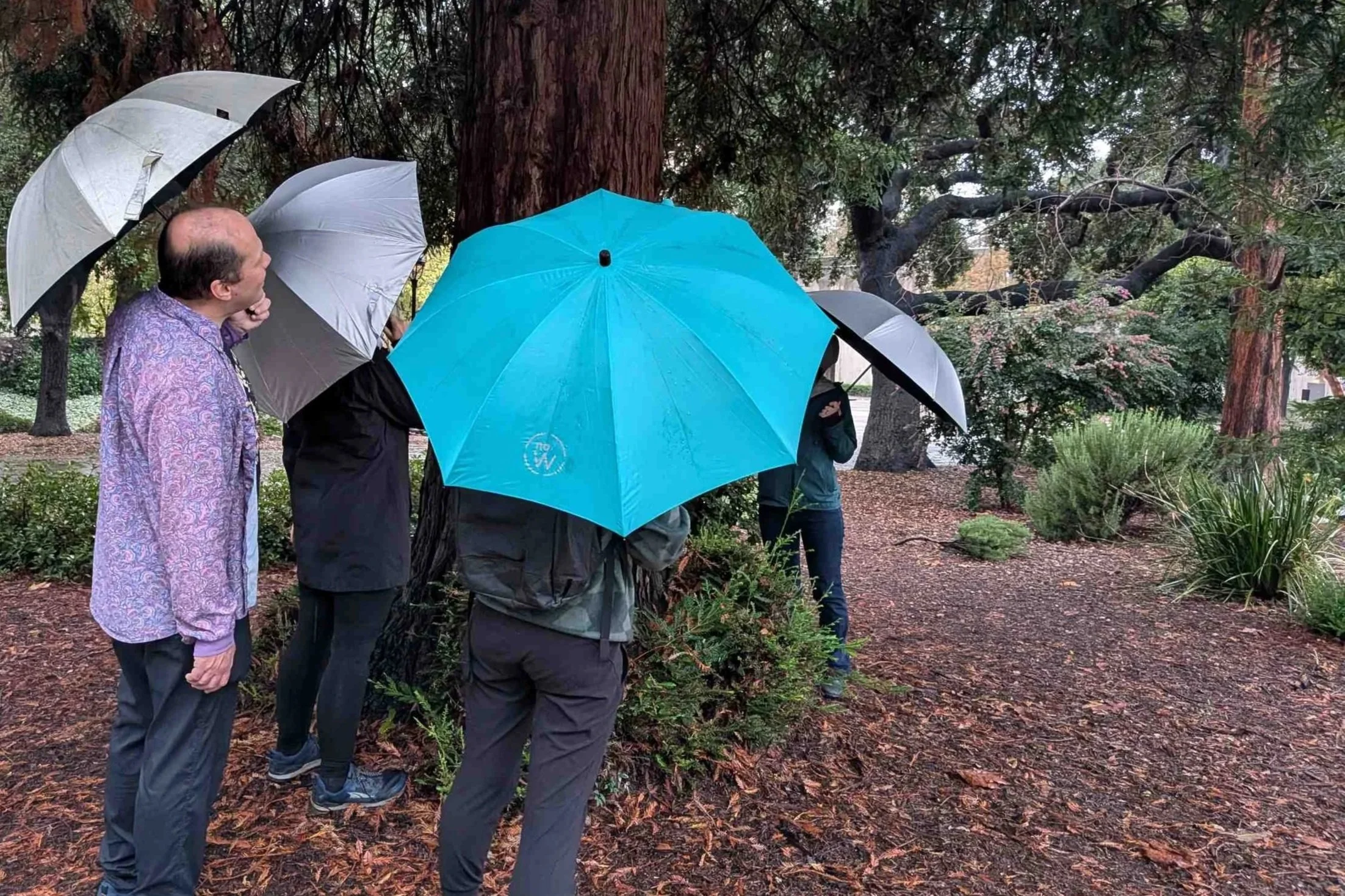 We tested hiking umbrellas in the sun and in the rain, as seen here.