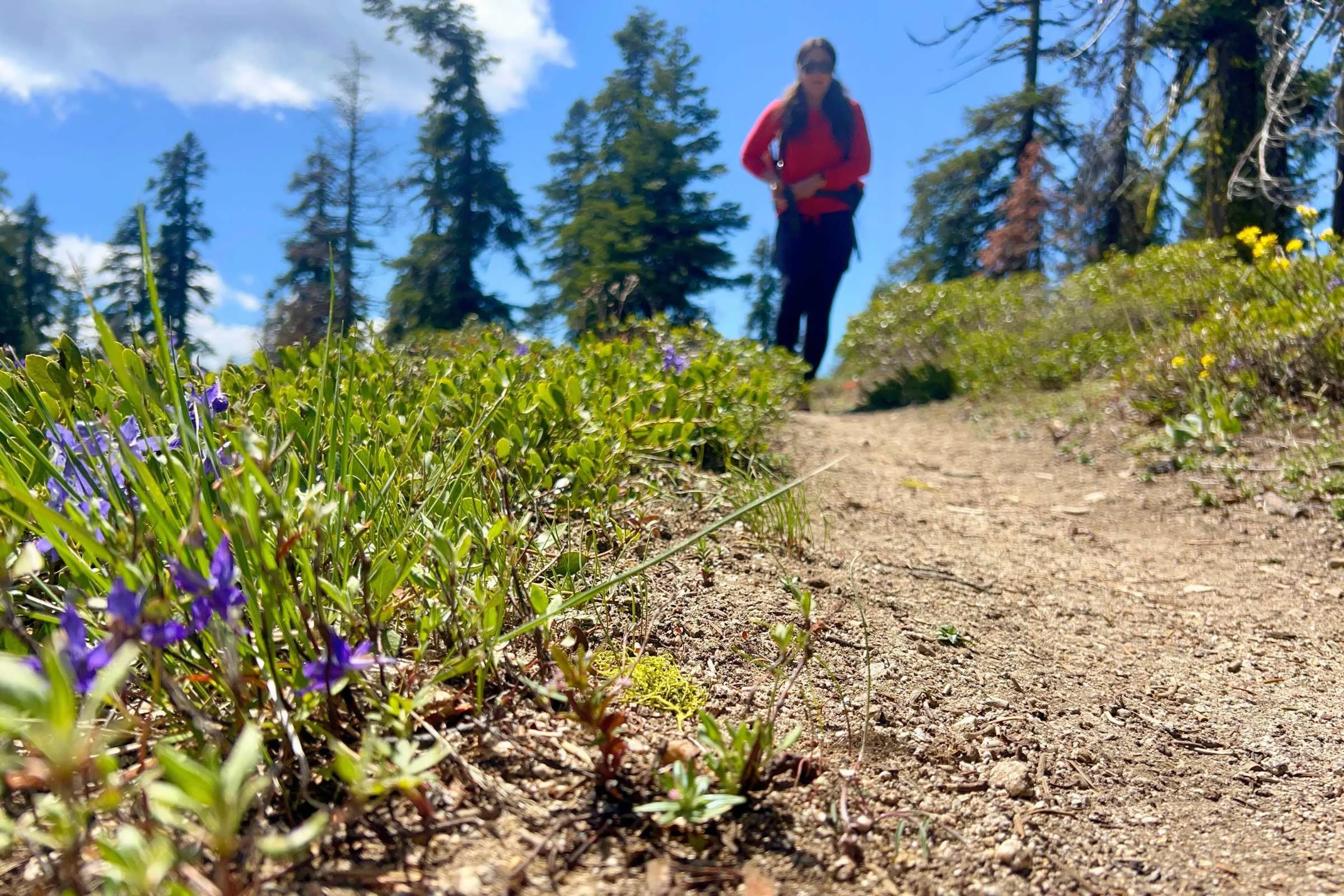 Hiking among the mountain wildflowers while wearing the Title Nine Upland sun shirt.