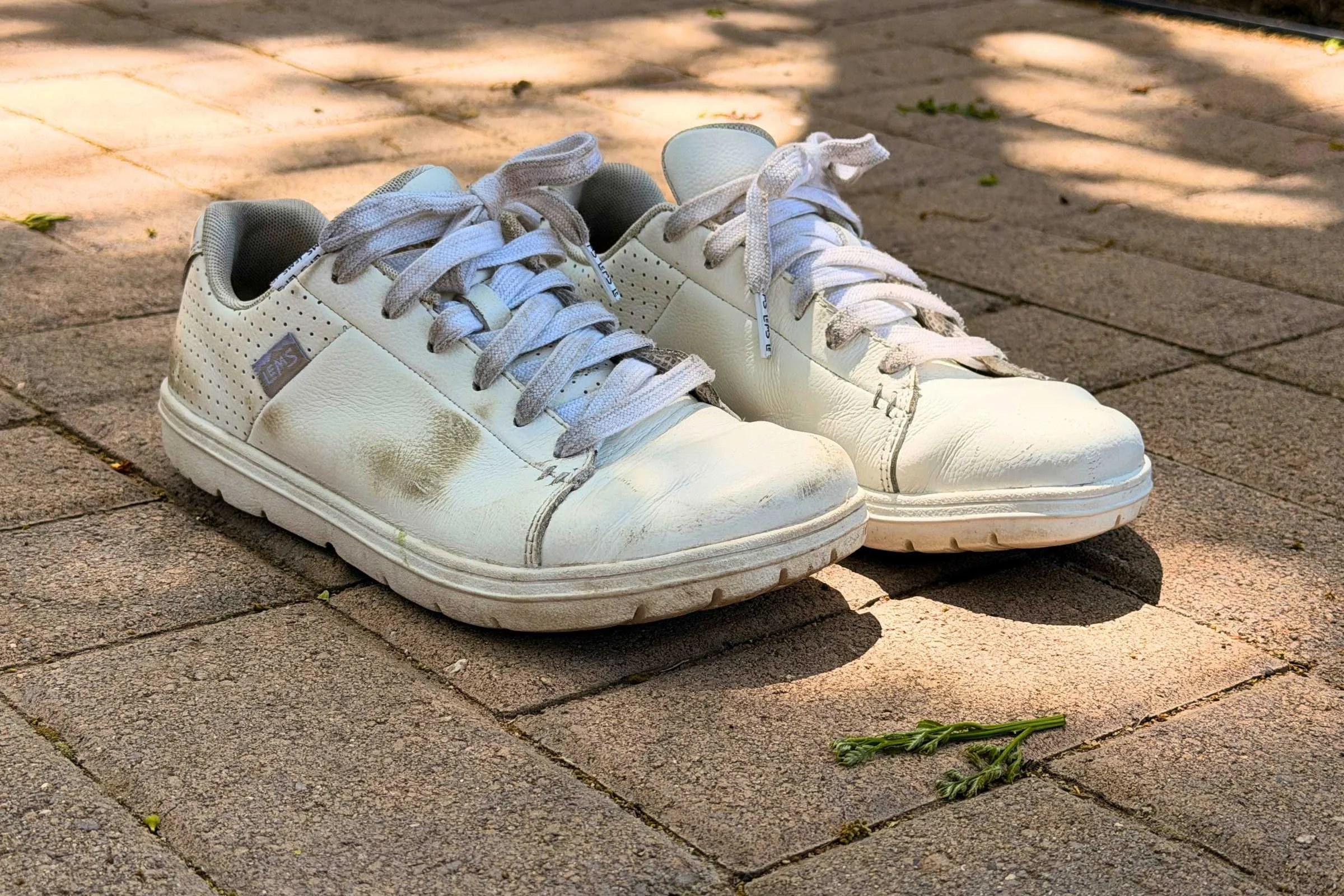 After several months of regular wear, the shoe on the left is still dirty, while the shoe on the right has been cleaned up.  Photo courtesy Maggie Nichols