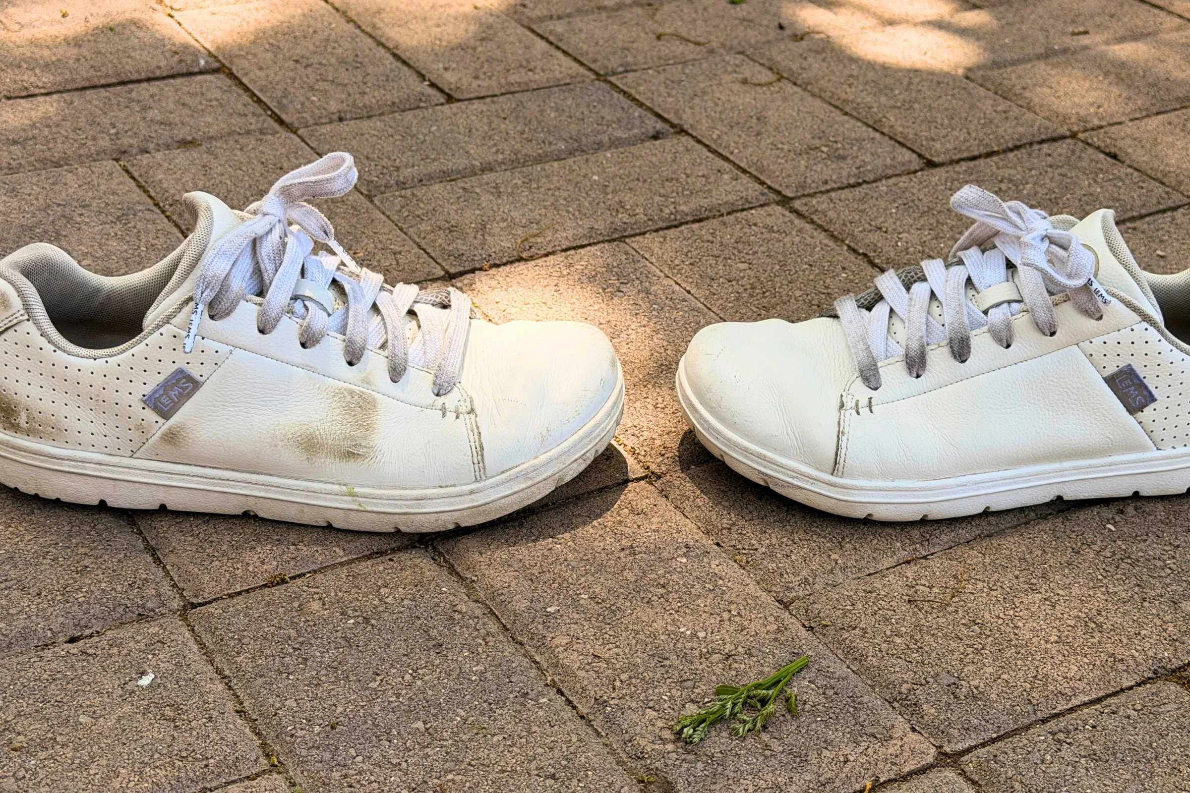 After several months of regular wear, the shoe on the left is still dirty, while the shoe on the right has been cleaned up.  Photo courtesy Maggie Nichols