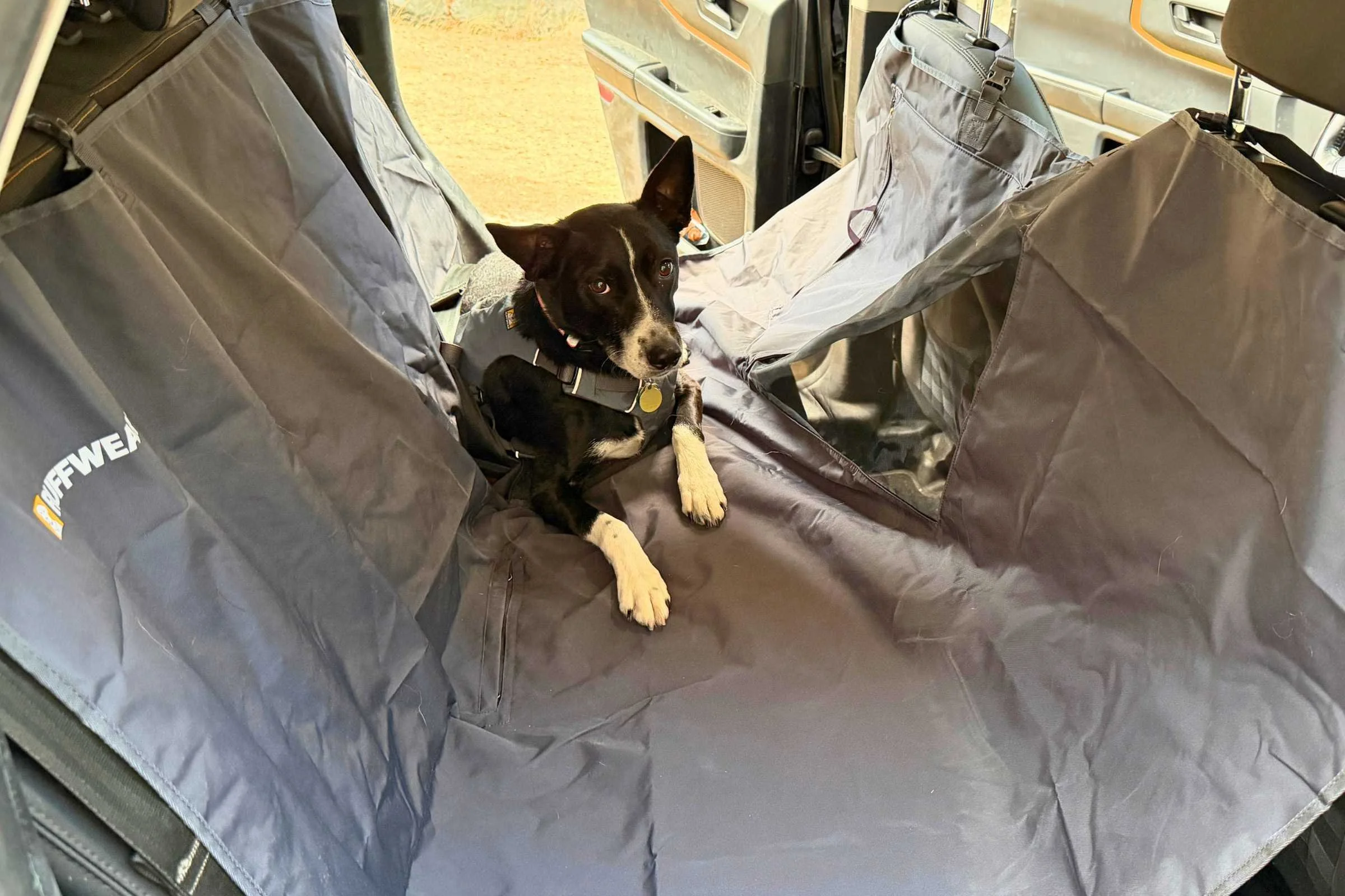 Dog car seat covers properly installed in a mid-size SUV