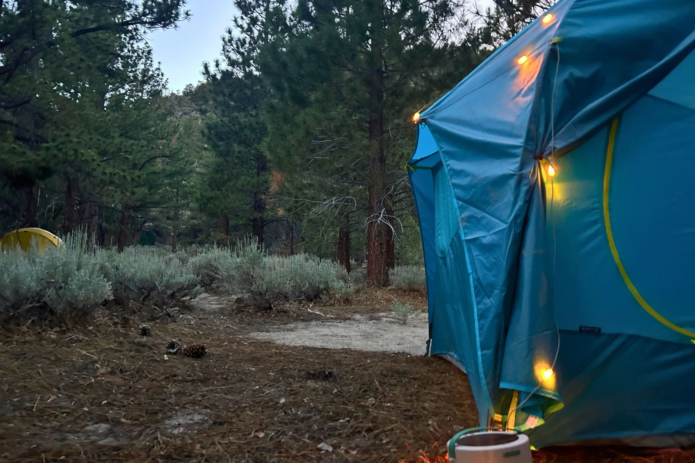 The hub of the Luci Solar String lights is at the base of the tent. Plastic clips on the string lights attach to the webbing hooks on the tent.