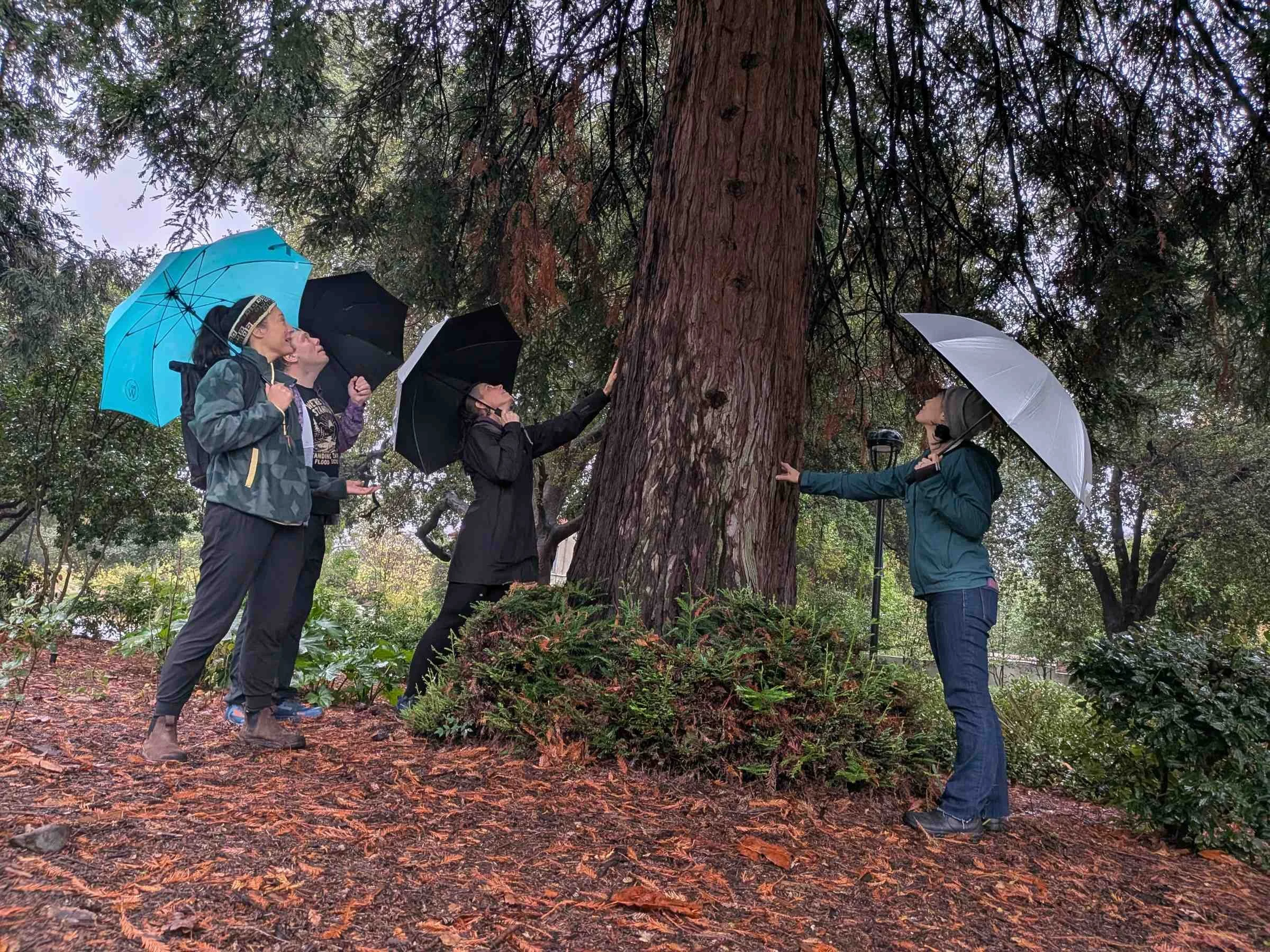 The Six Moon Designs Silver Shadow umbrella has a sizable canopy that can block out the sun on hot days.