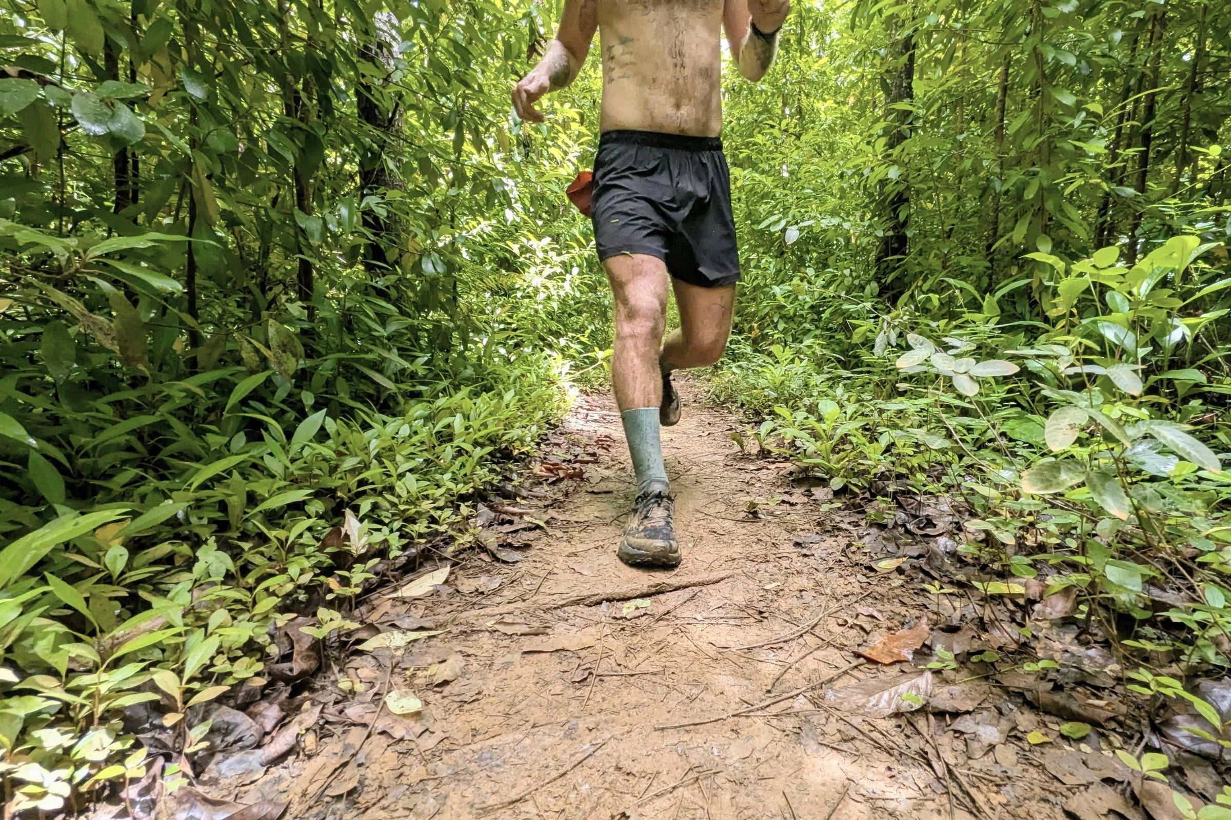 Tracksmith Twilight Running Shorts worn by a runner on a jungle trail.
