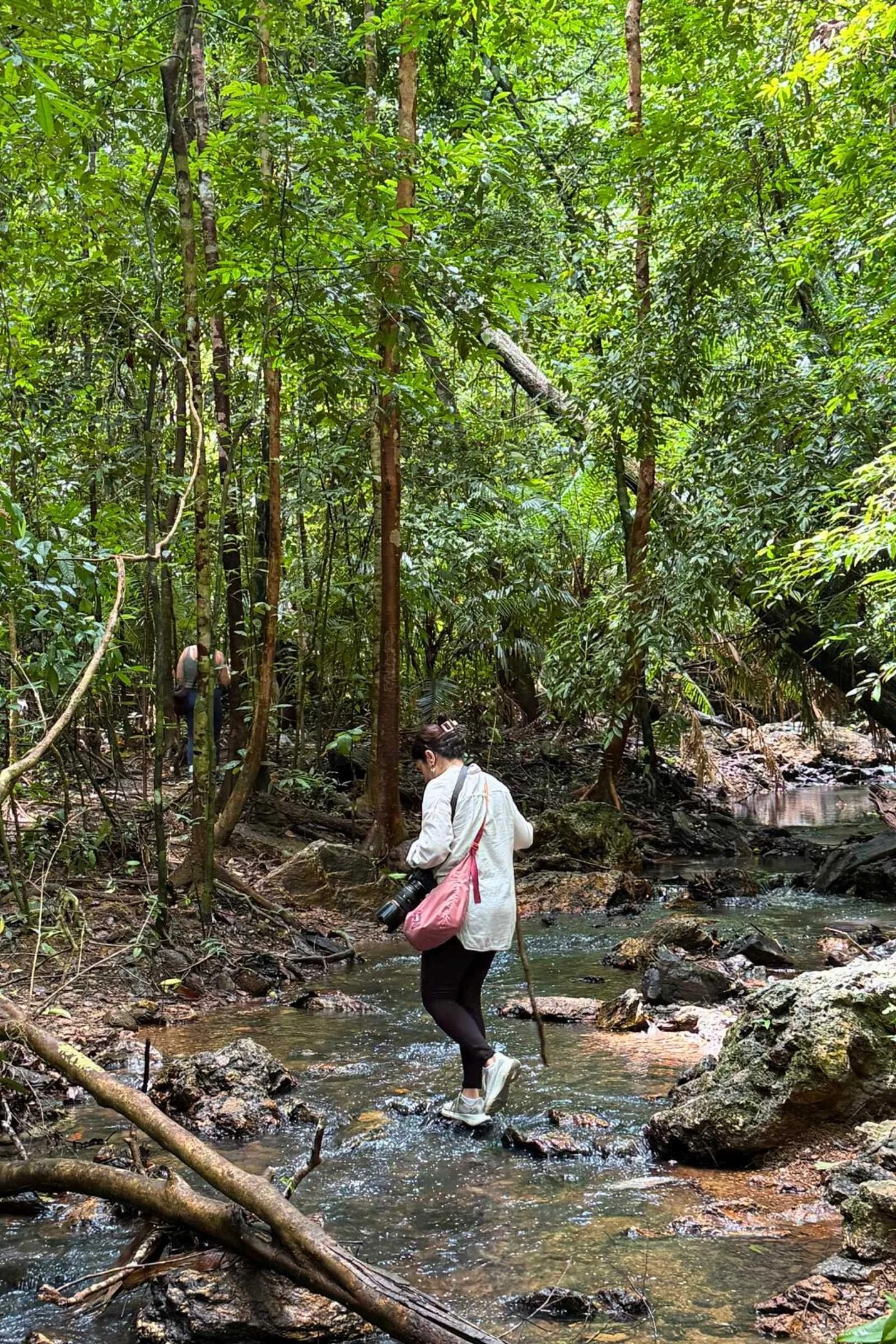 the author walking through a creek in the woods