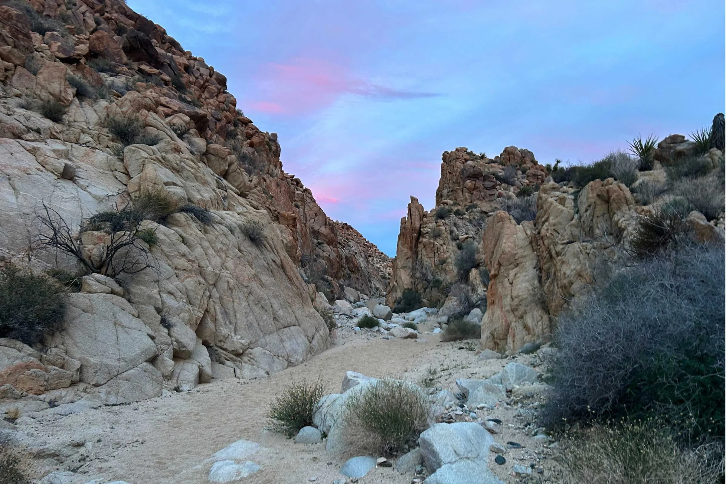 Narrow canyons and washes are much more dramatic on the Boy Scout Trail than the California Riding and Hiking Trail.