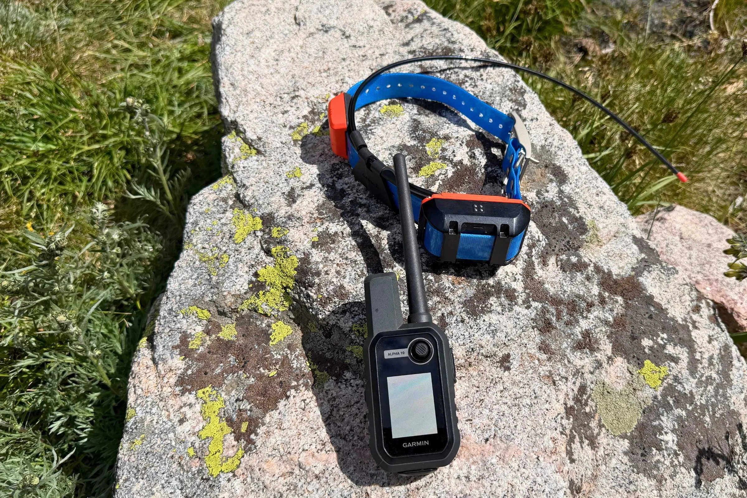 Garmin Alpha T 20 collar next to Garmin Alpha 10 handheld