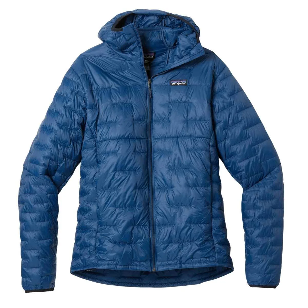 Patagonia Micro Puff Hoody