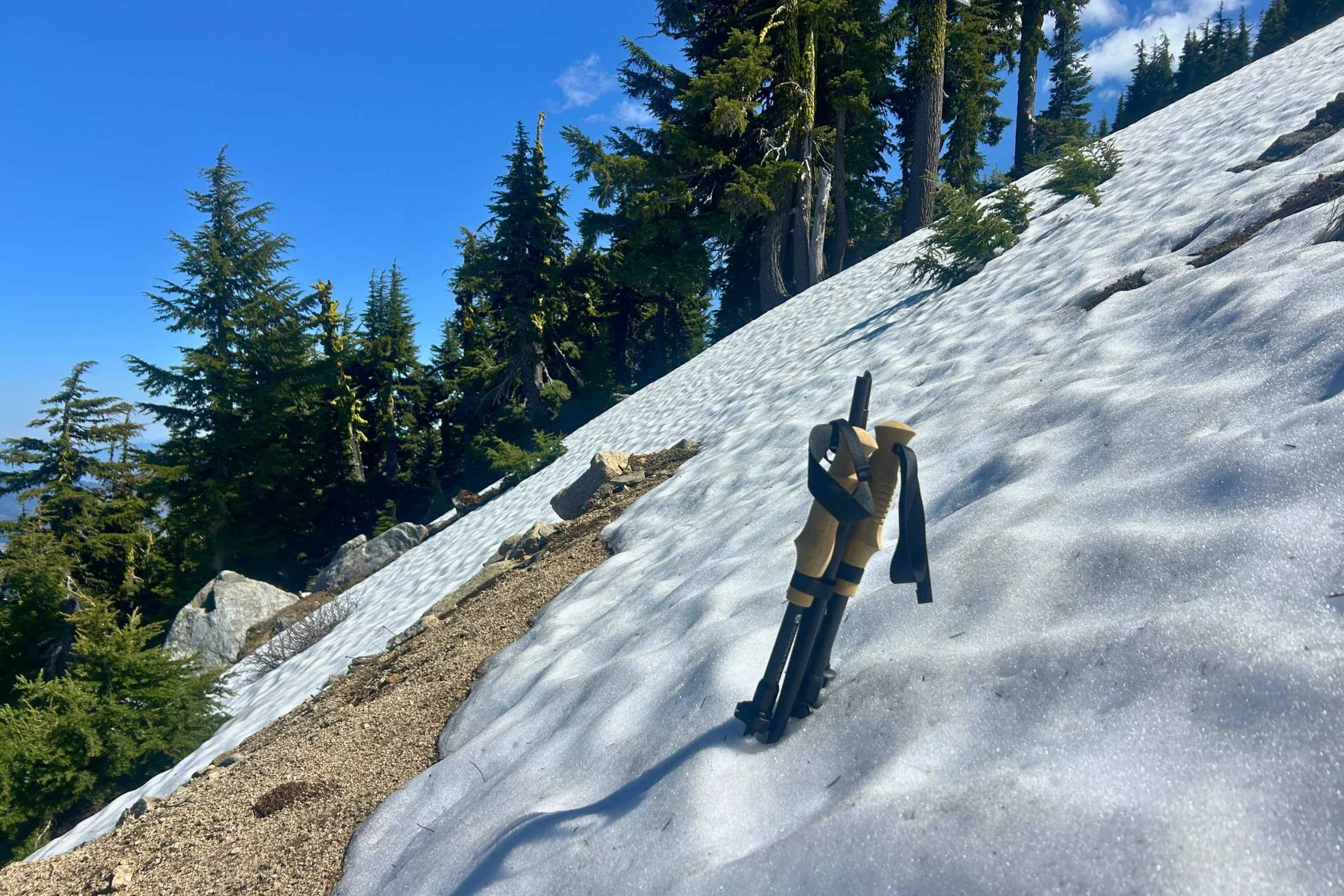 The Gossamer Gear FT3 poles in snow on a traverse covered by snow with trees in the background