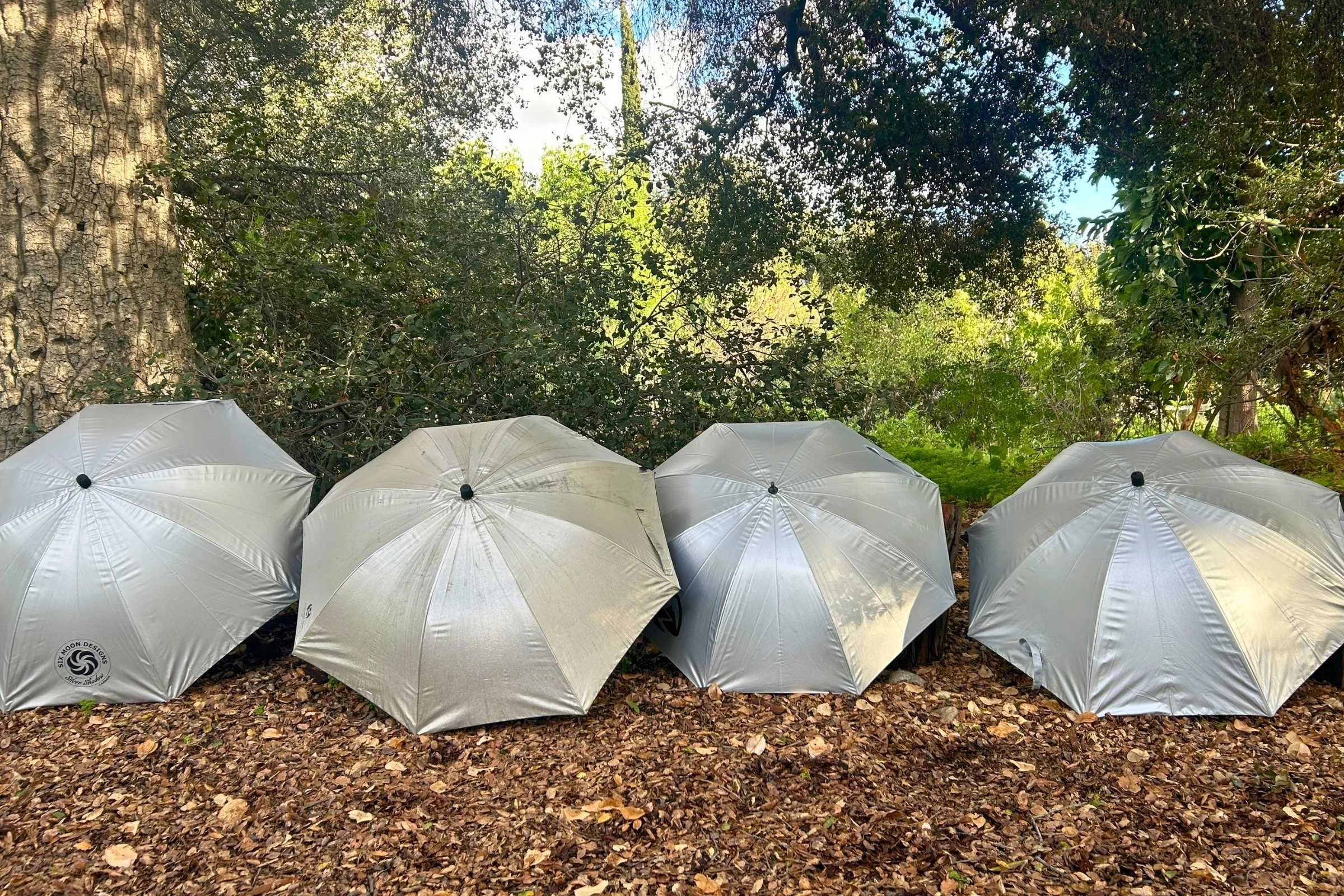 Testing hiking umbrellas side-by-side to compare canopies.