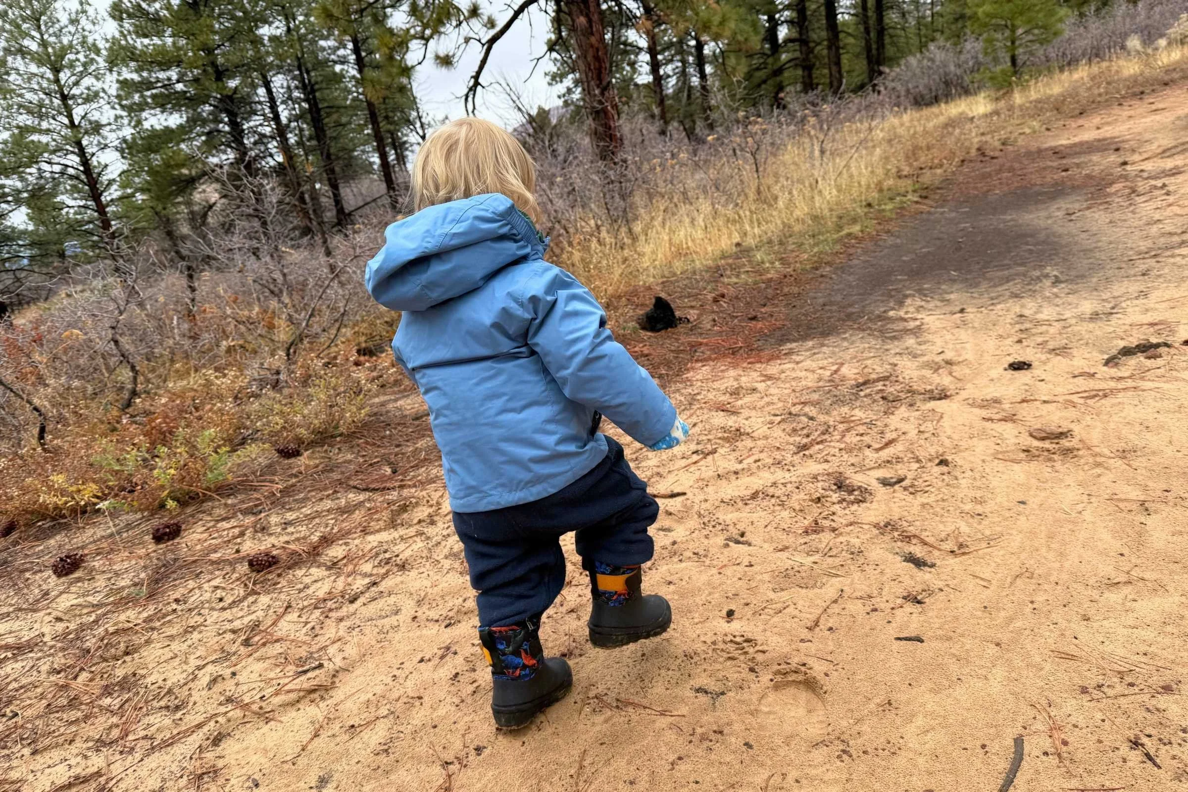 Toddler walking on dirt trail wearing Bogs winter boots