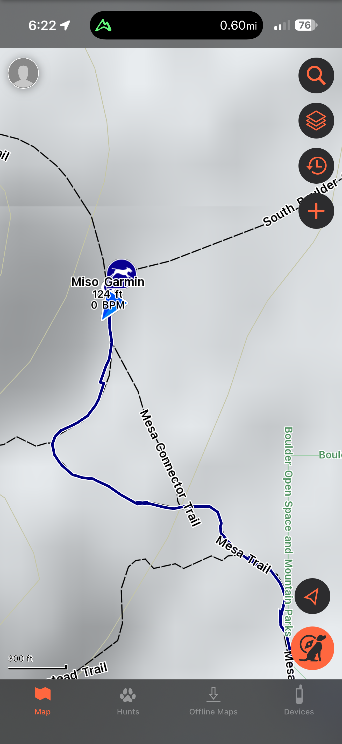 There aren’t any bells and whistles or extra activity tracking features in the Garmin Alpha app.