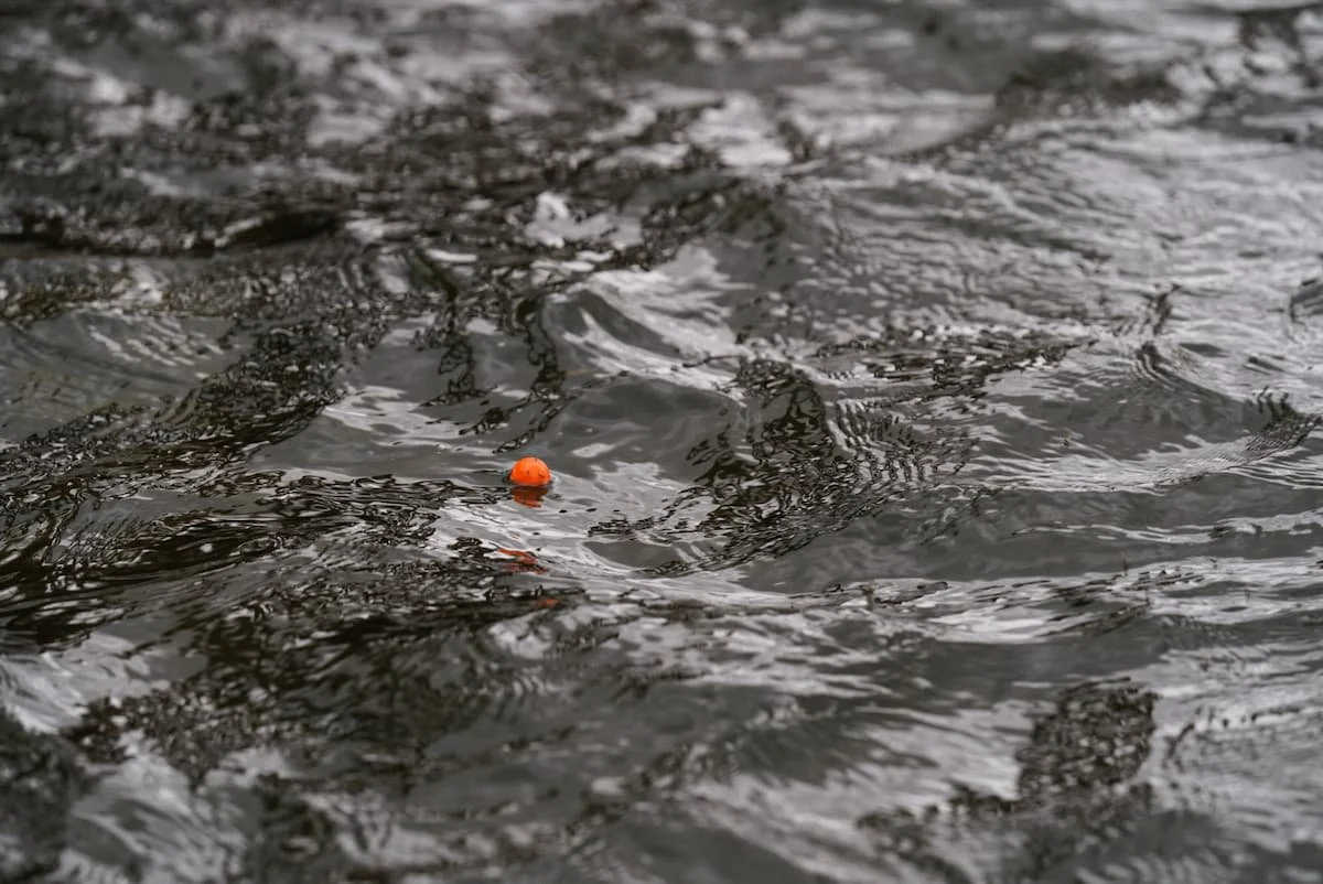 Best Indicators for Fly Fishing of 2024