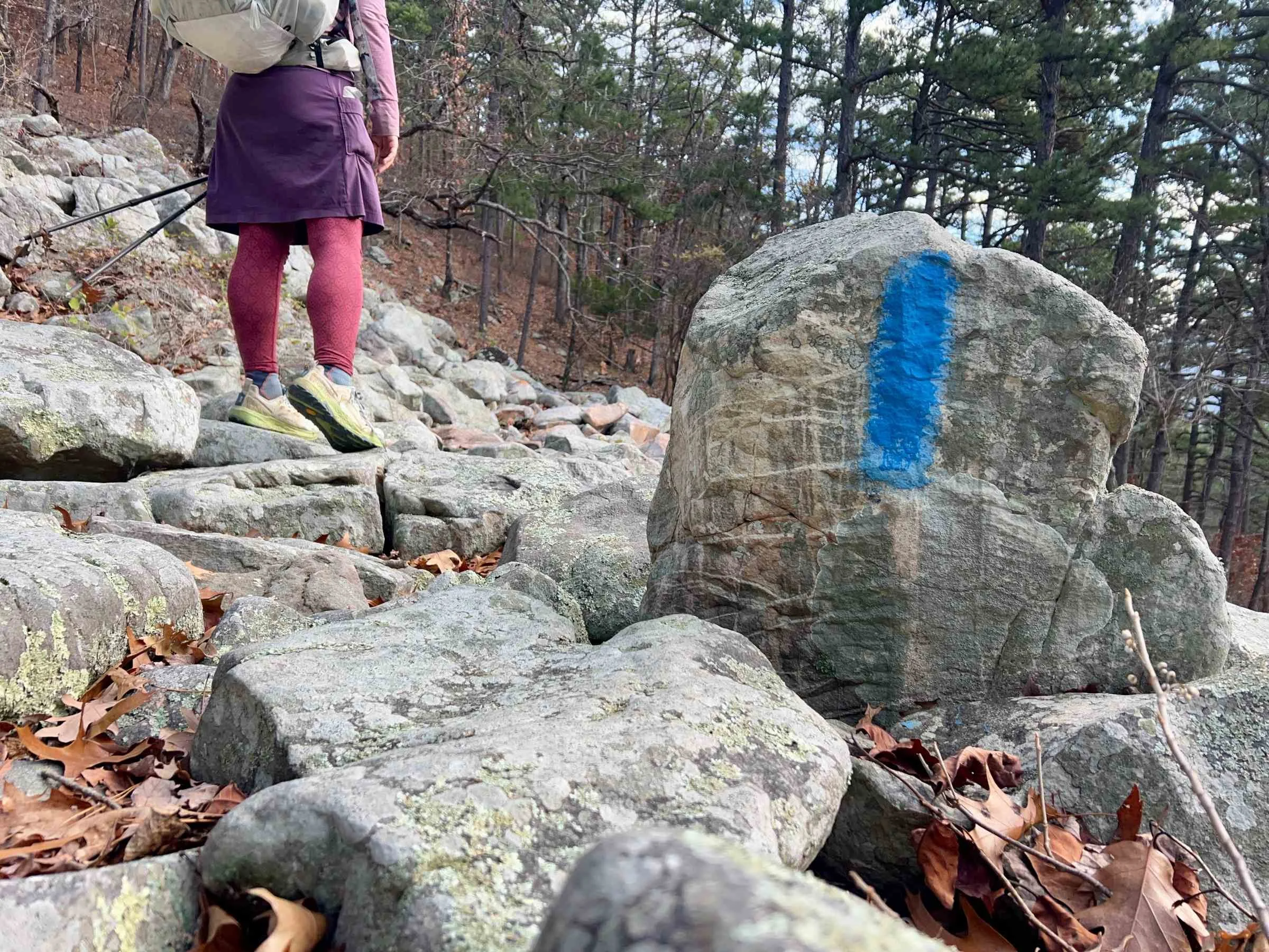 We put ten days straight of 12+ hour days wearing the Altra Timp 6 while thru-hiking the Ouachita Trail.