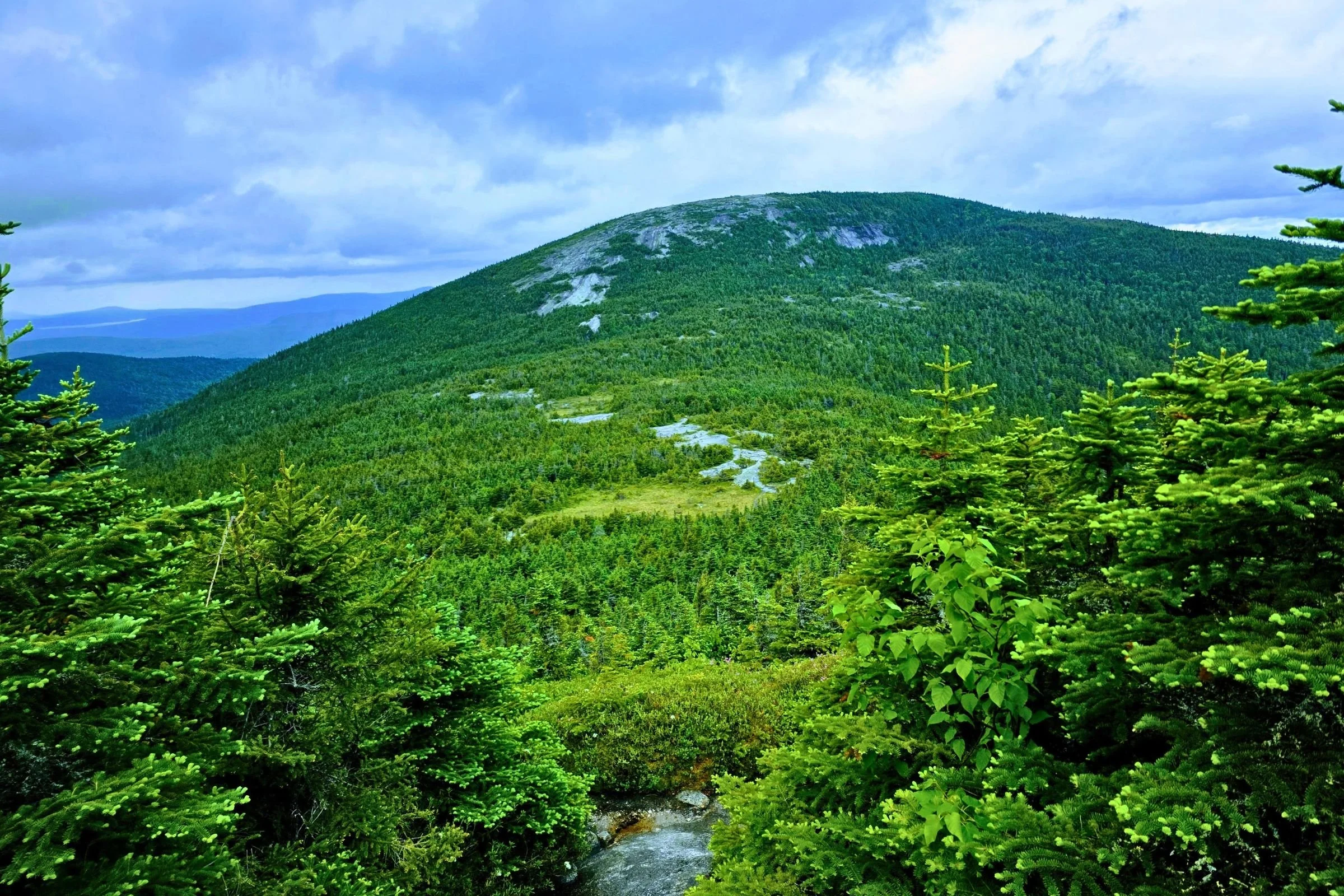 The climb down into the valley between Old Speck and the Baldpates is one of the two largest changes in elevation on the GLT.