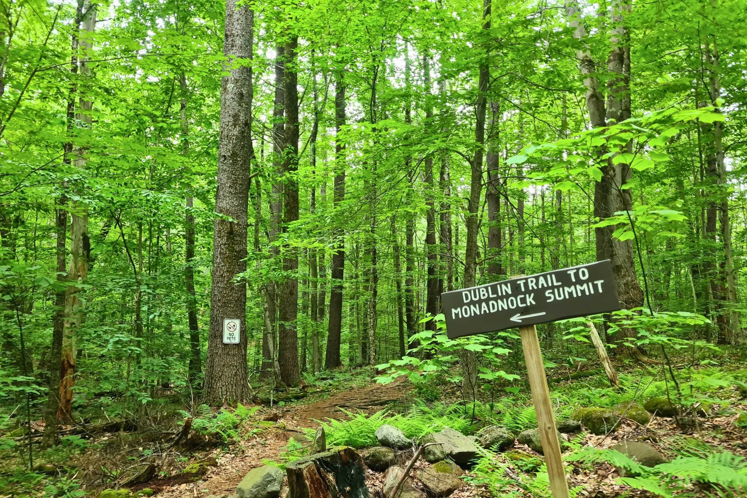 Dublin Trailhead. Photo by Aubri Drake.