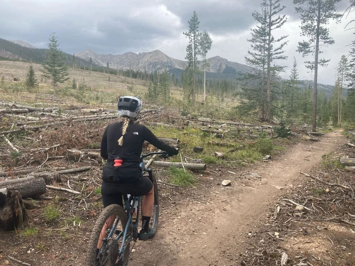 mountain bike hip bolsa