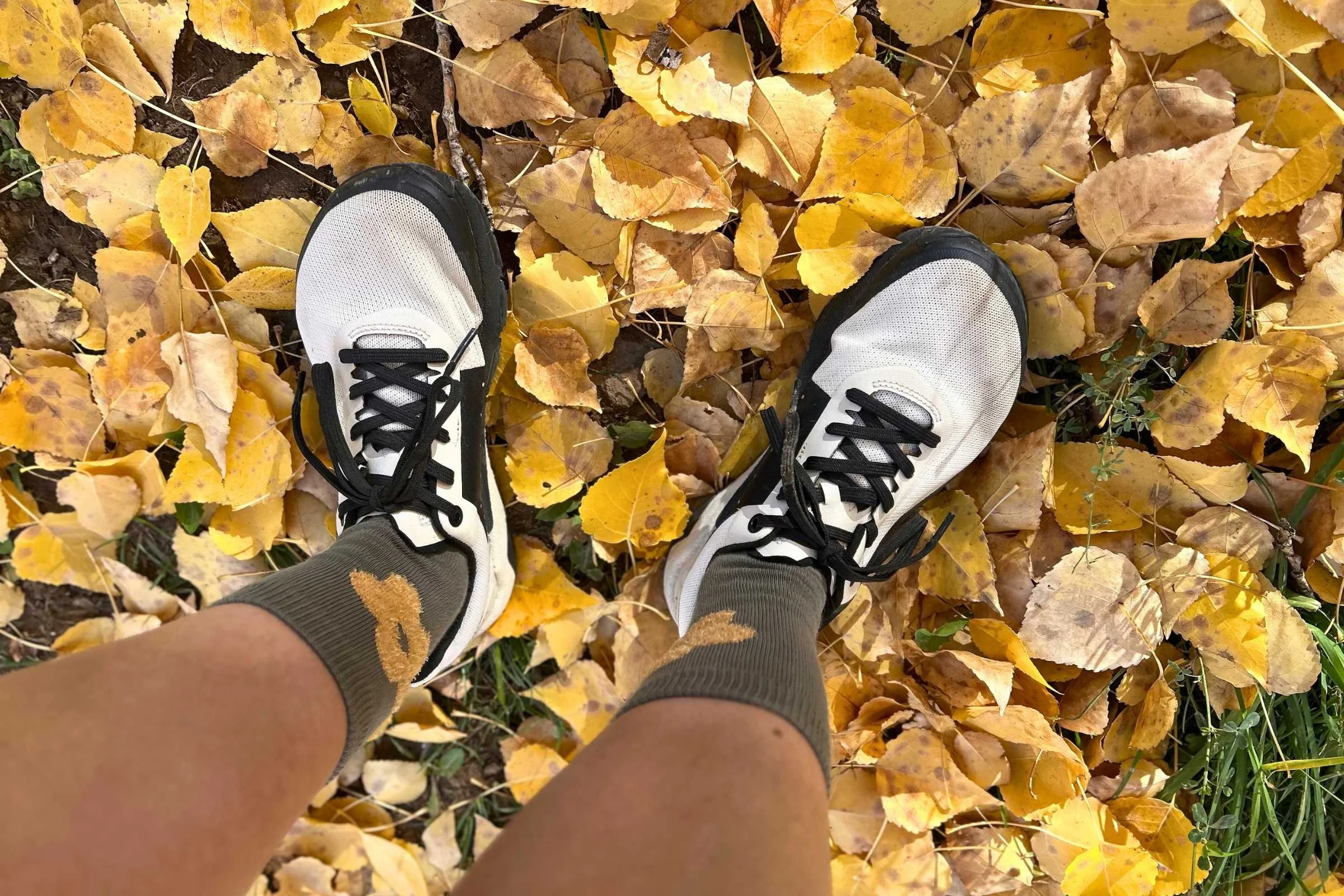 The toe box of the Notace Yama T1 trail running shoes is spacious and the fit is secure.